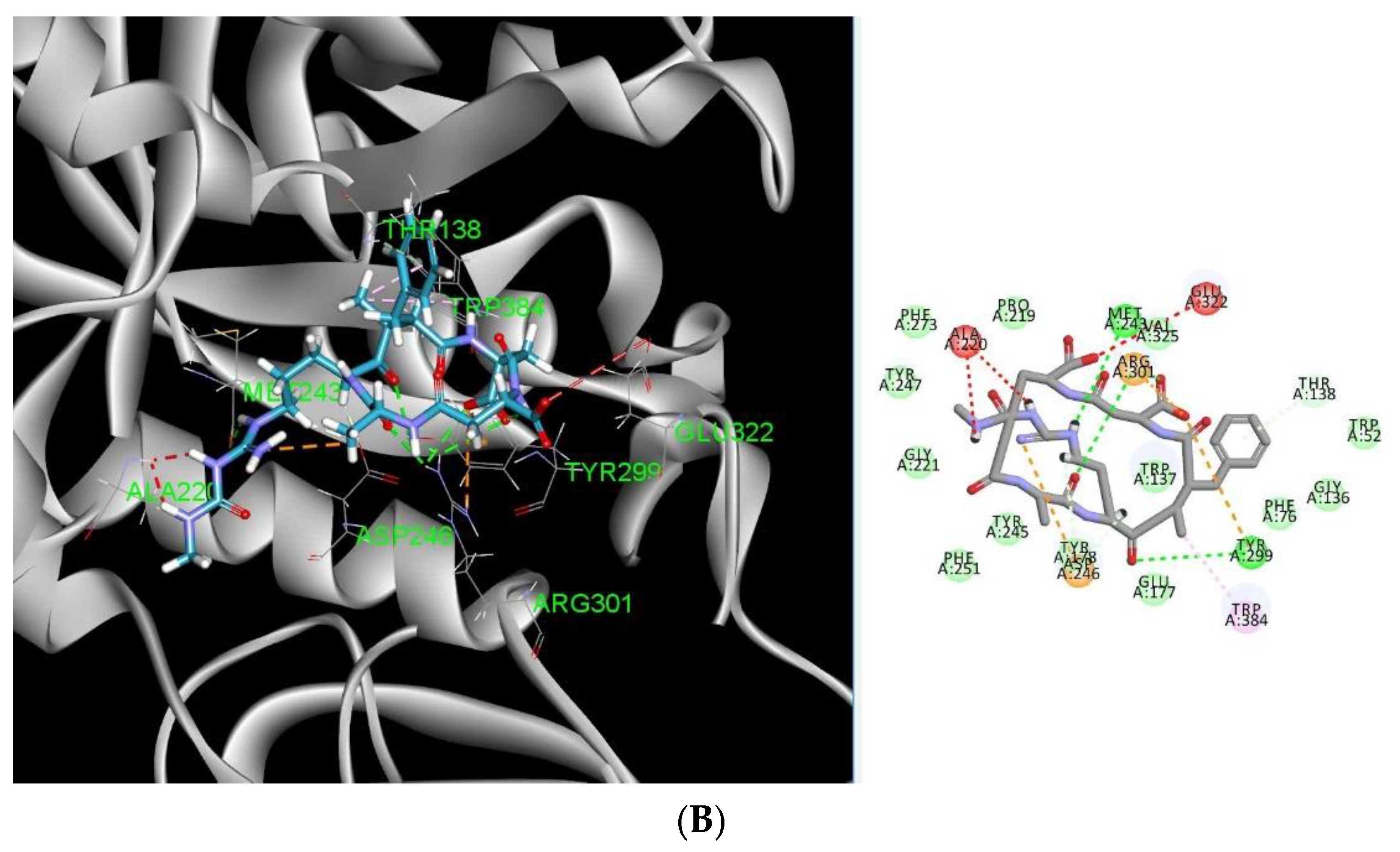 Molecules 28 00260 g004b Molecules 28 00260 g004b