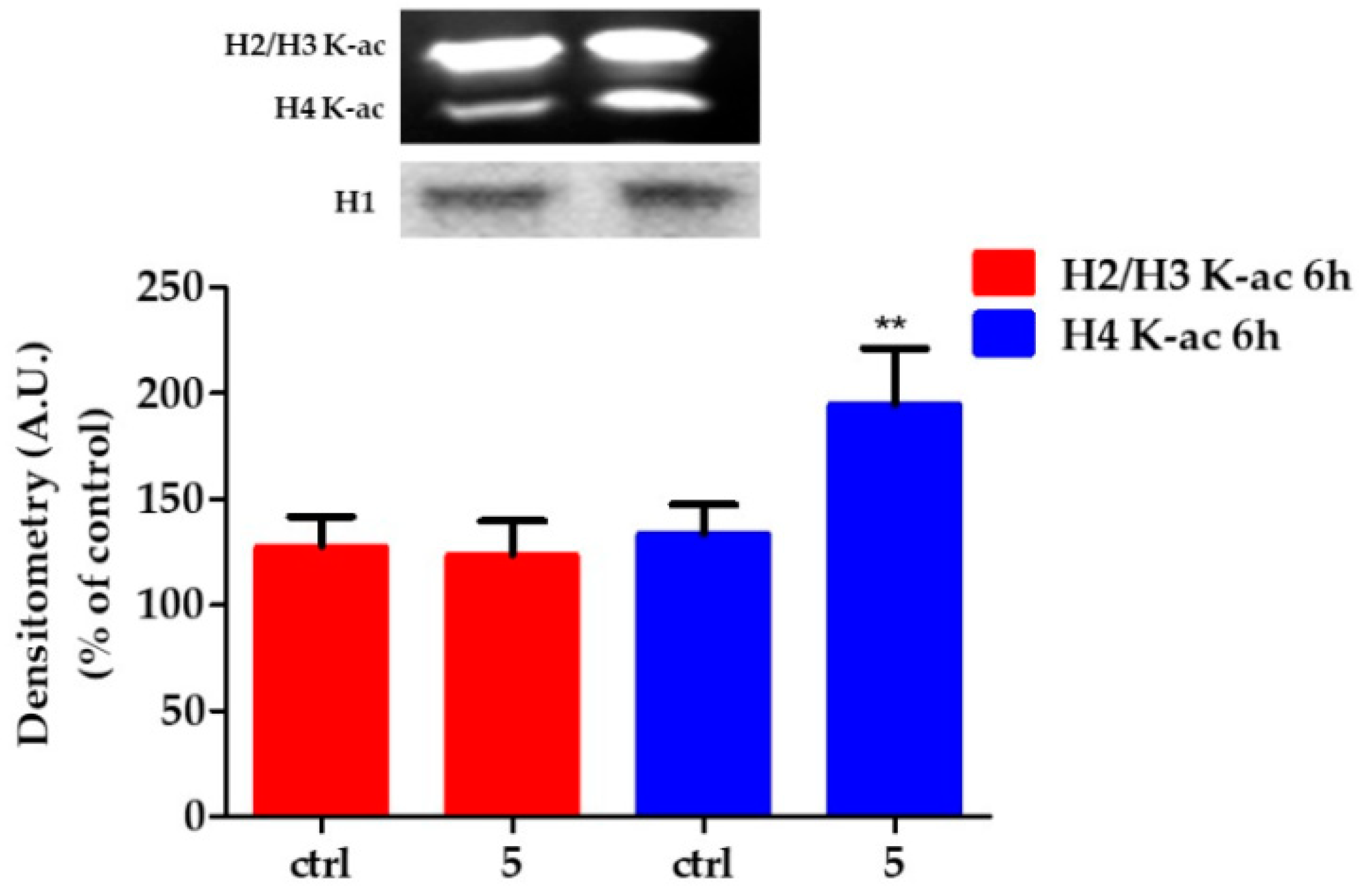 Molecules 28 00265 g005