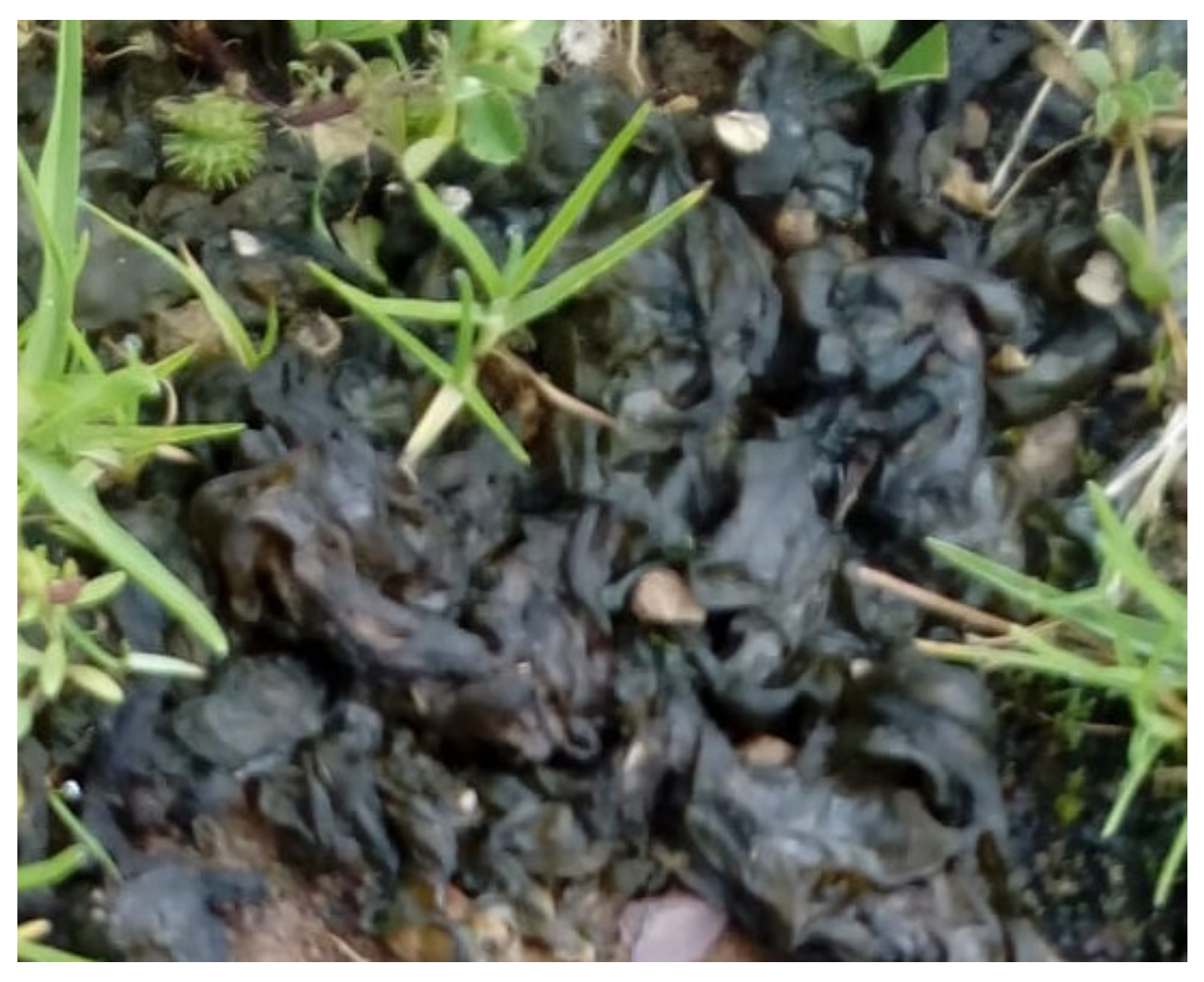 Molecules 28 00268 g010