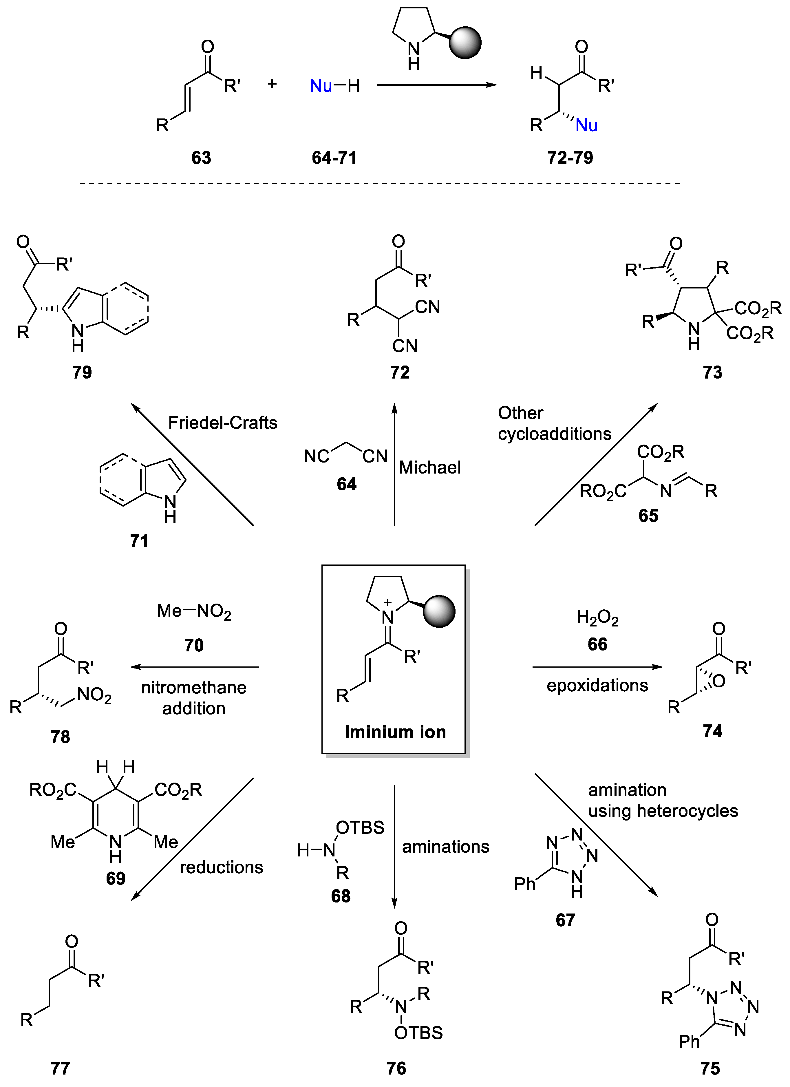 Molecules 28 00271 g013