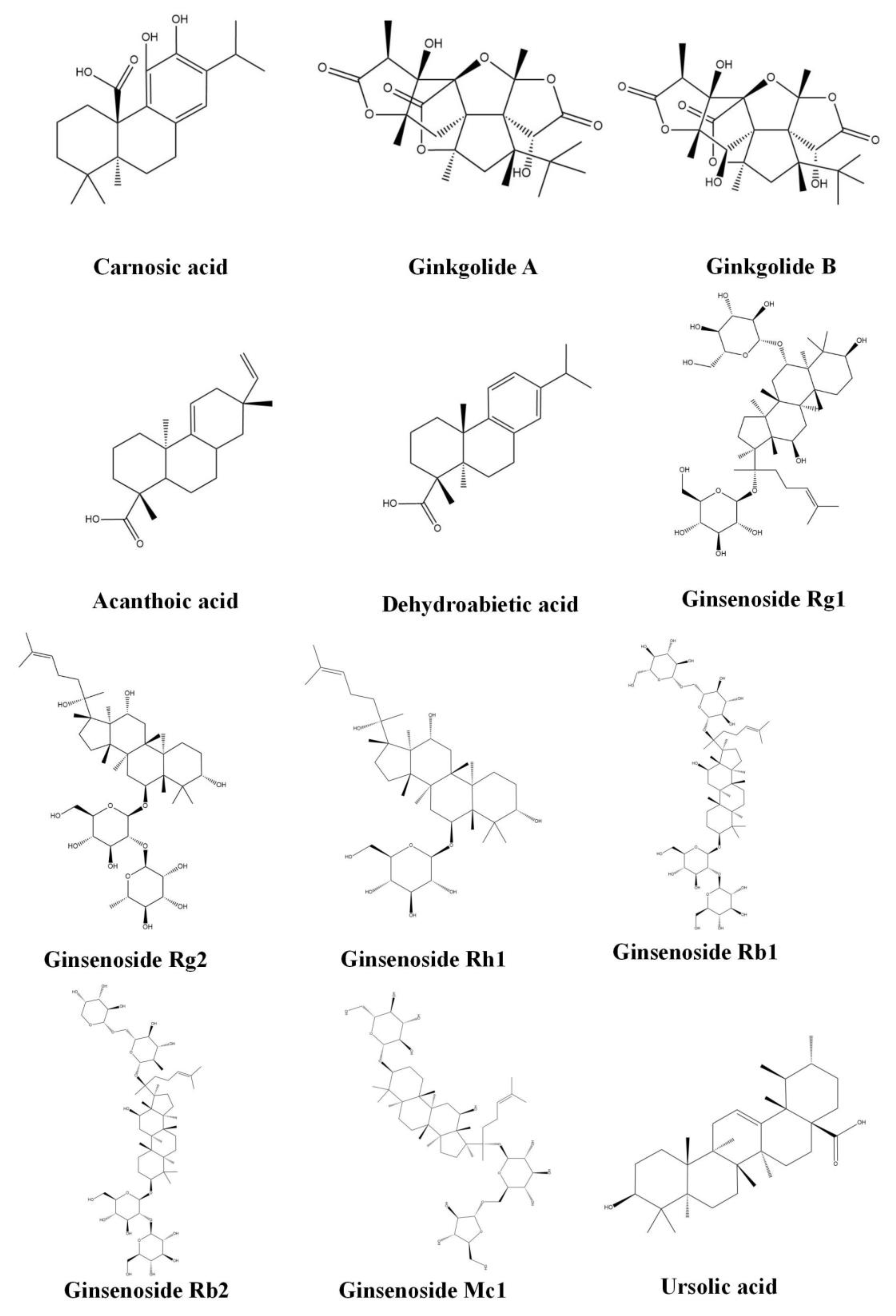 Molecules 28 00272 g002b