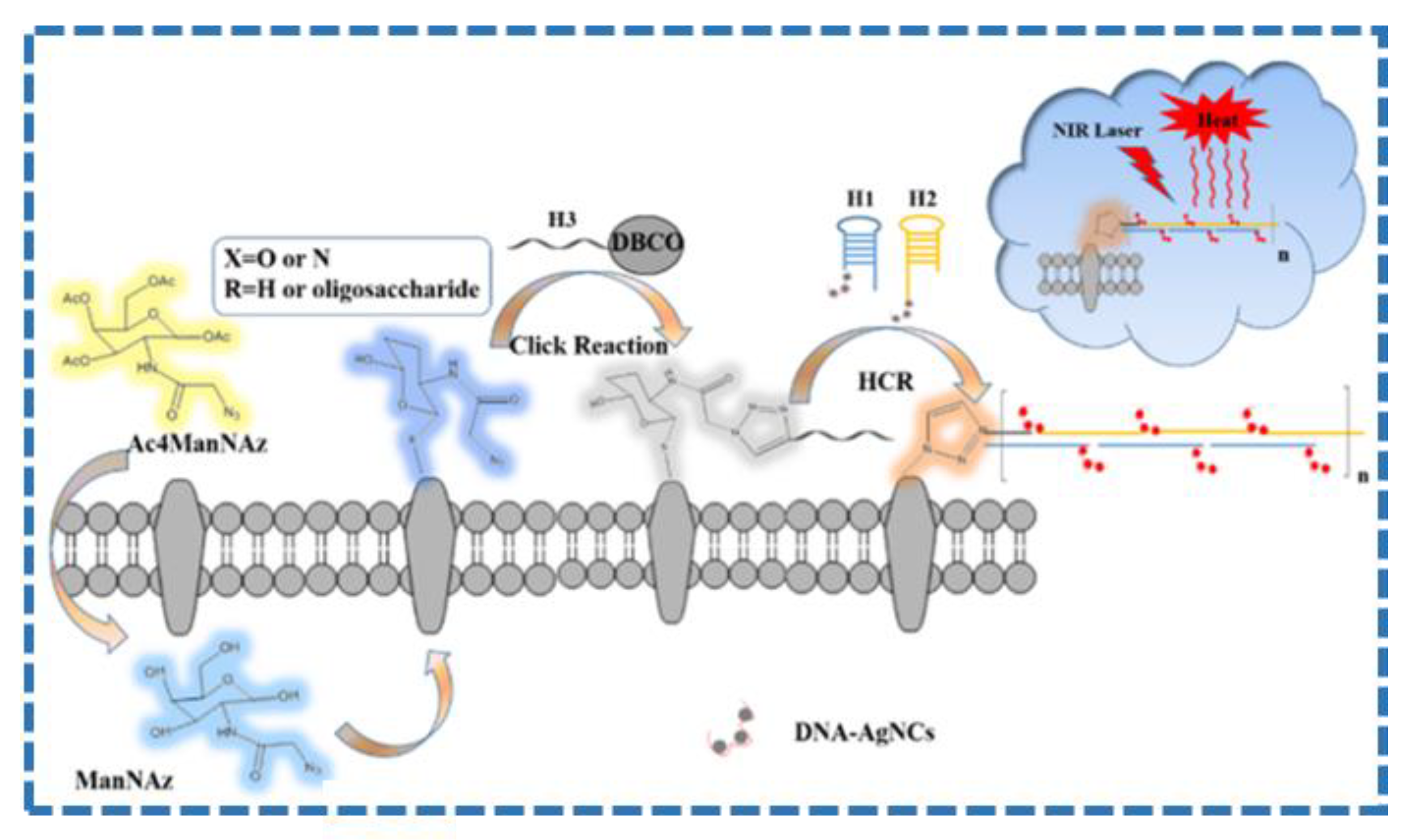 Molecules 28 00277 g005