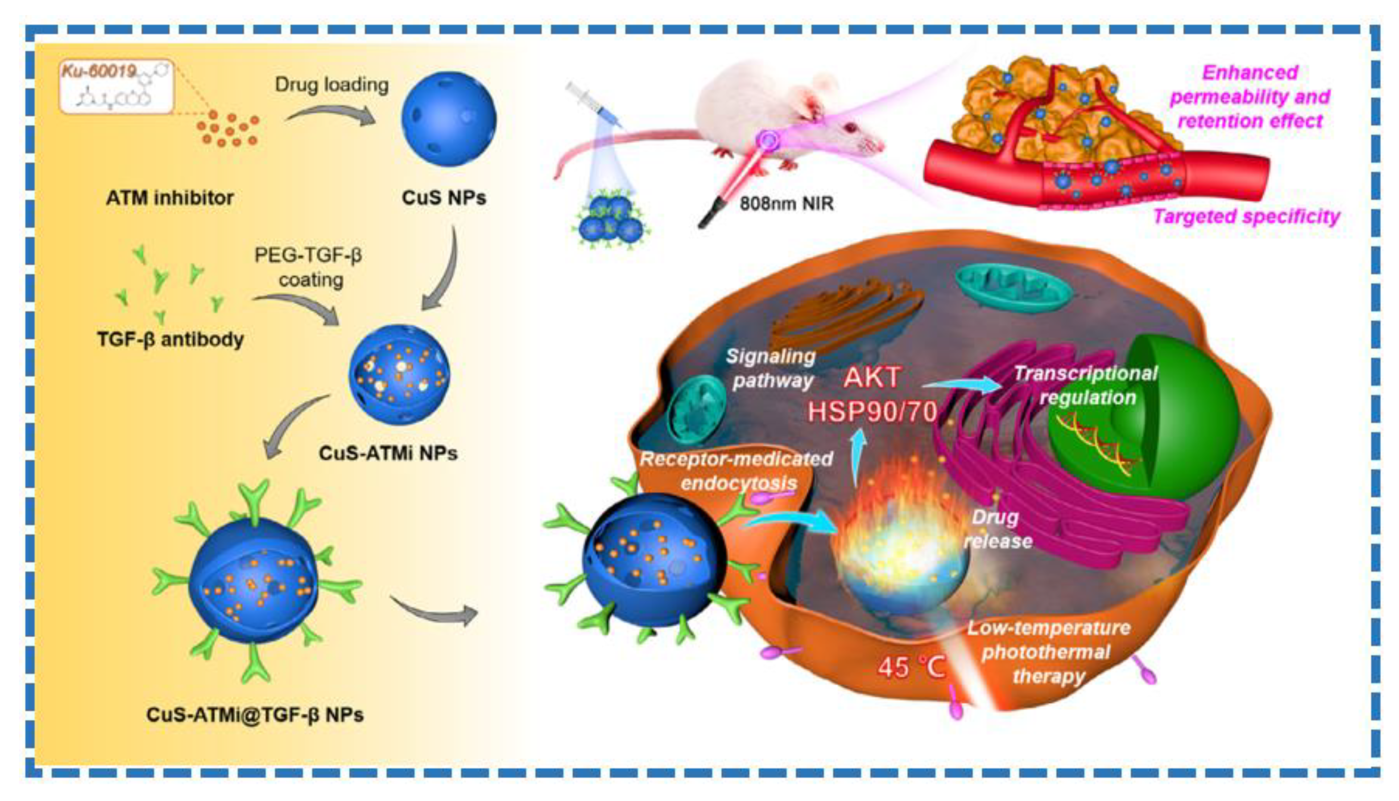Molecules 28 00277 g006