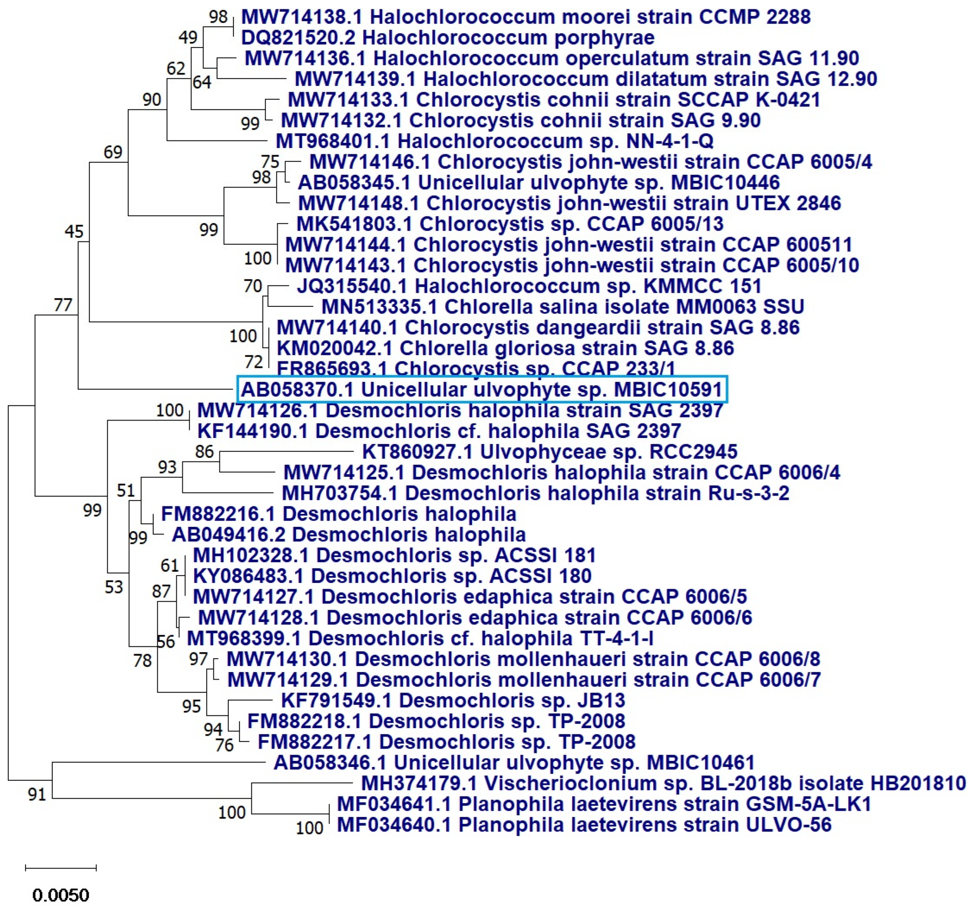 Molecules 28 00279 g003 Molecules 28 00279 g003