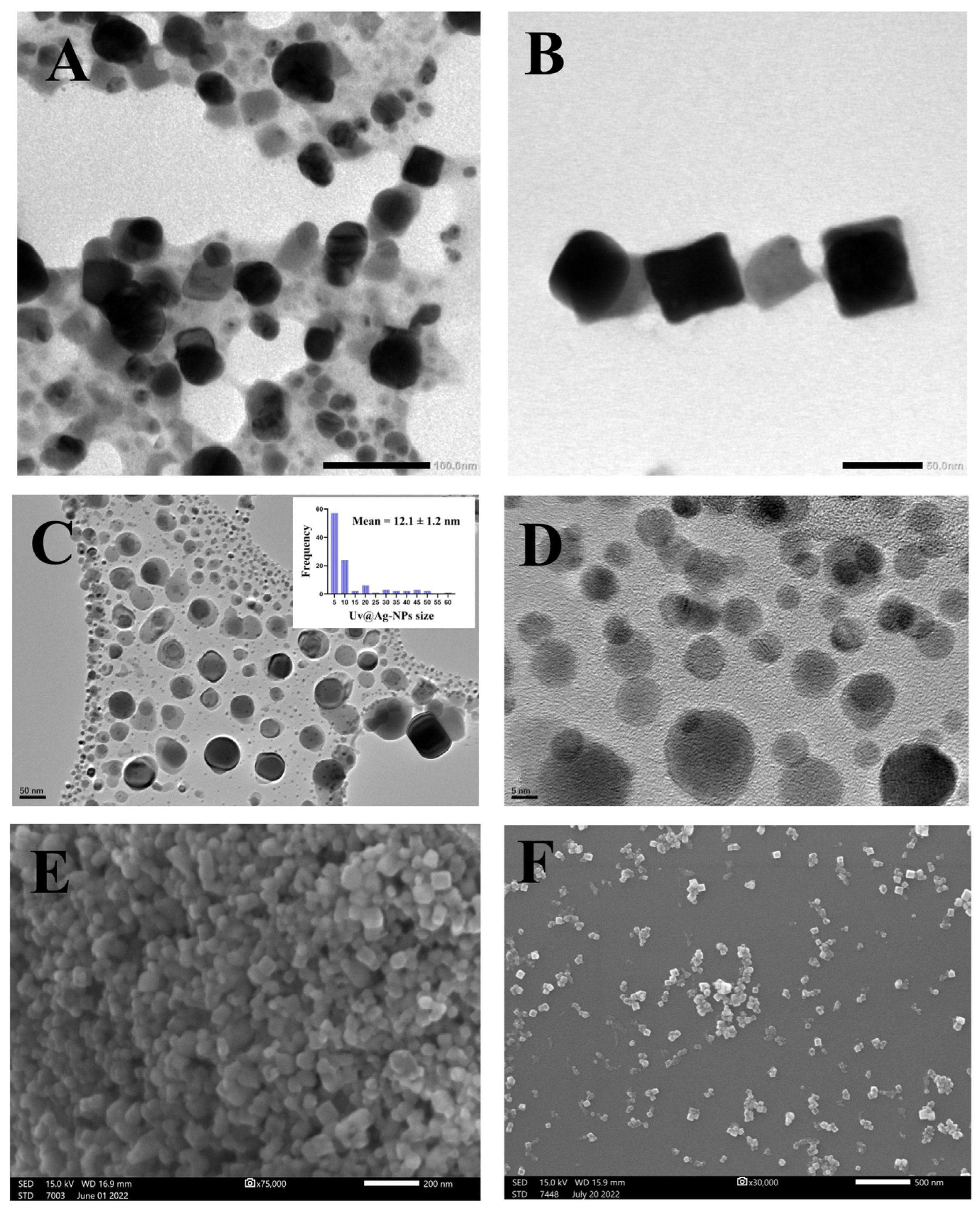 Molecules 28 00279 g006 Molecules 28 00279 g006
