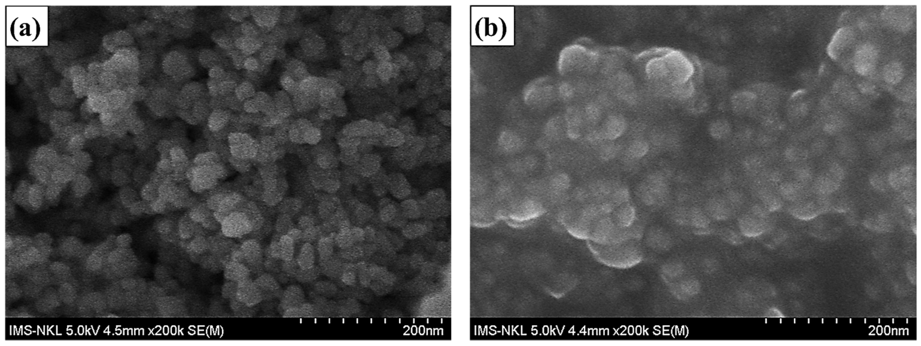 Molecules 28 00280 g001 Molecules 28 00280 g001