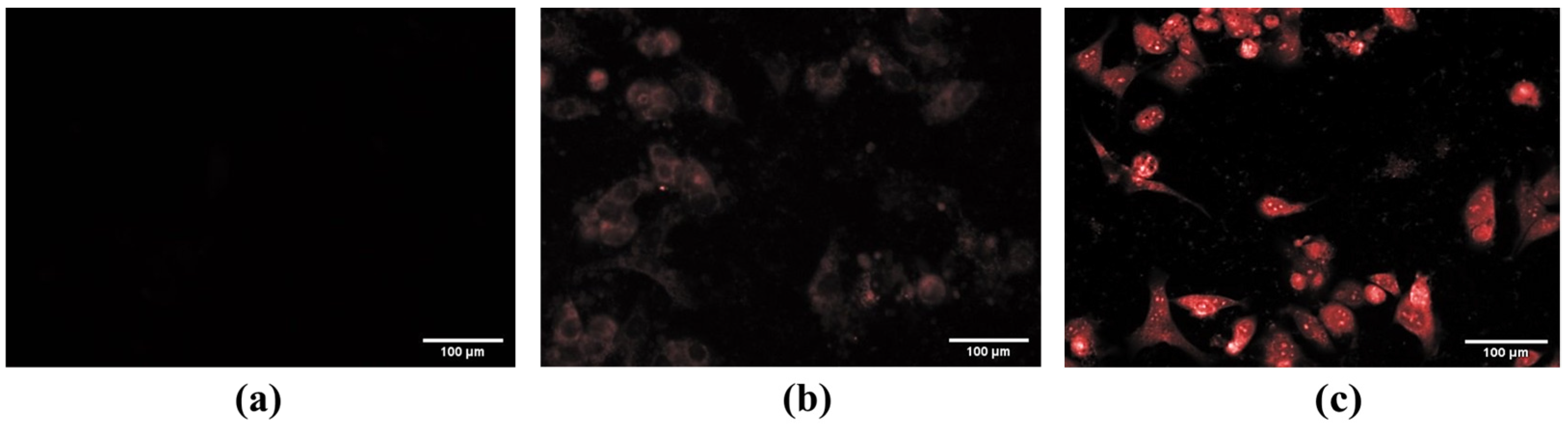 Molecules 28 00280 g004 Molecules 28 00280 g004