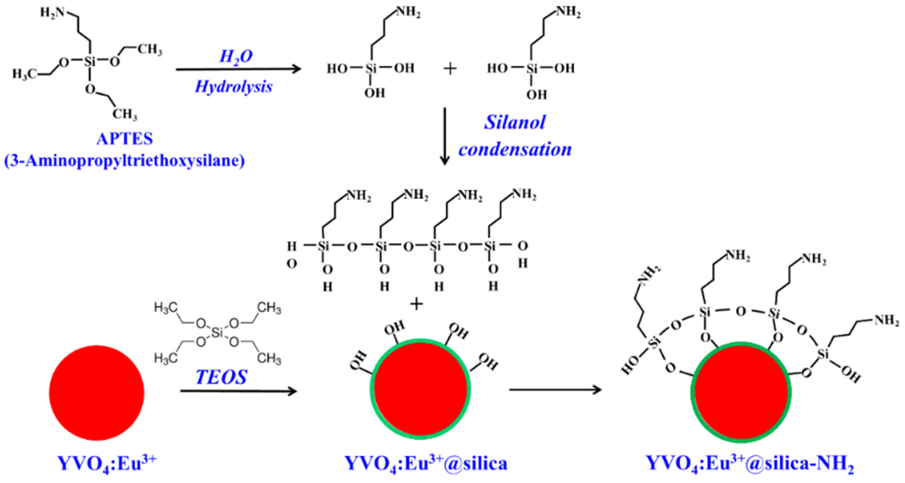 Molecules 28 00280 g007 Molecules 28 00280 g007