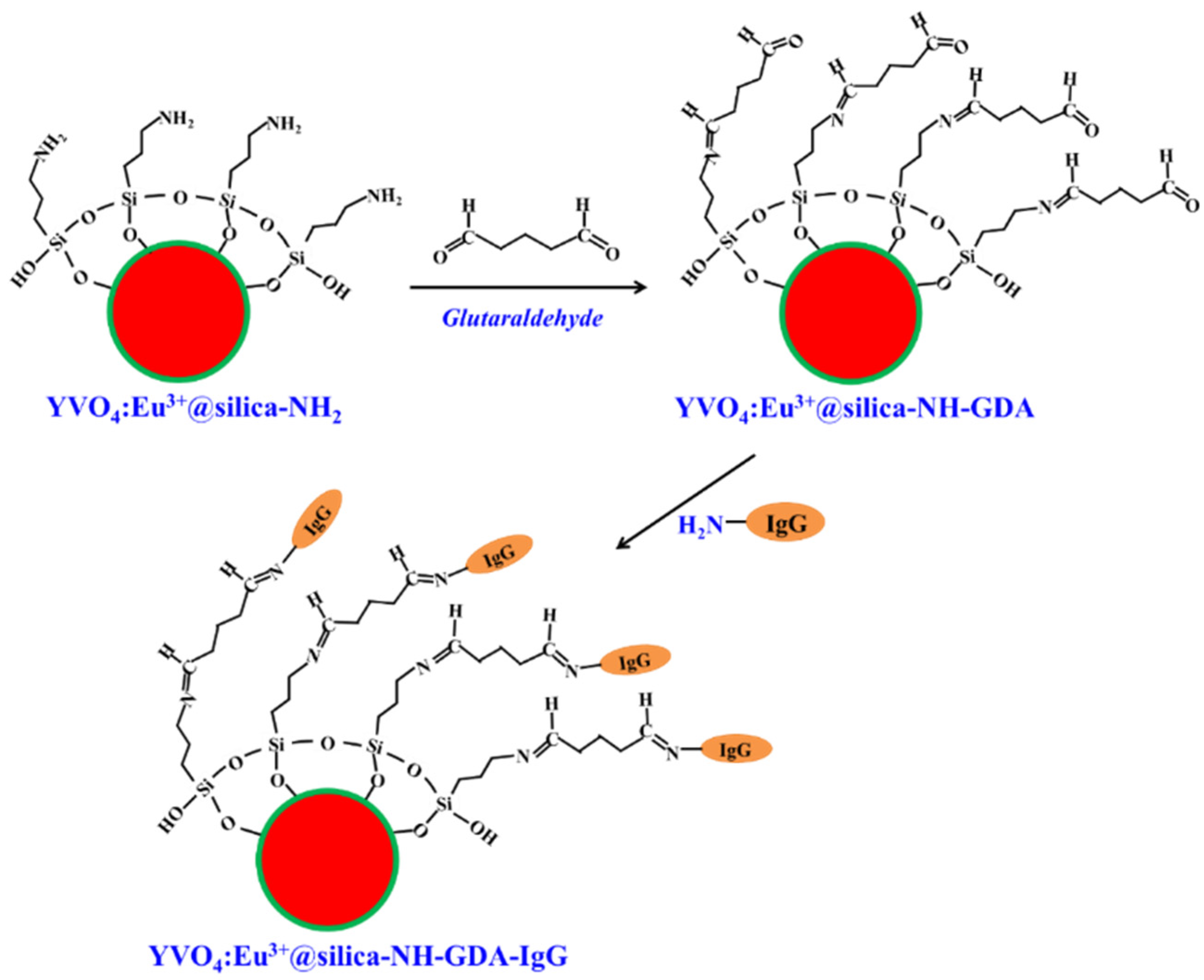 Molecules 28 00280 g008 Molecules 28 00280 g008