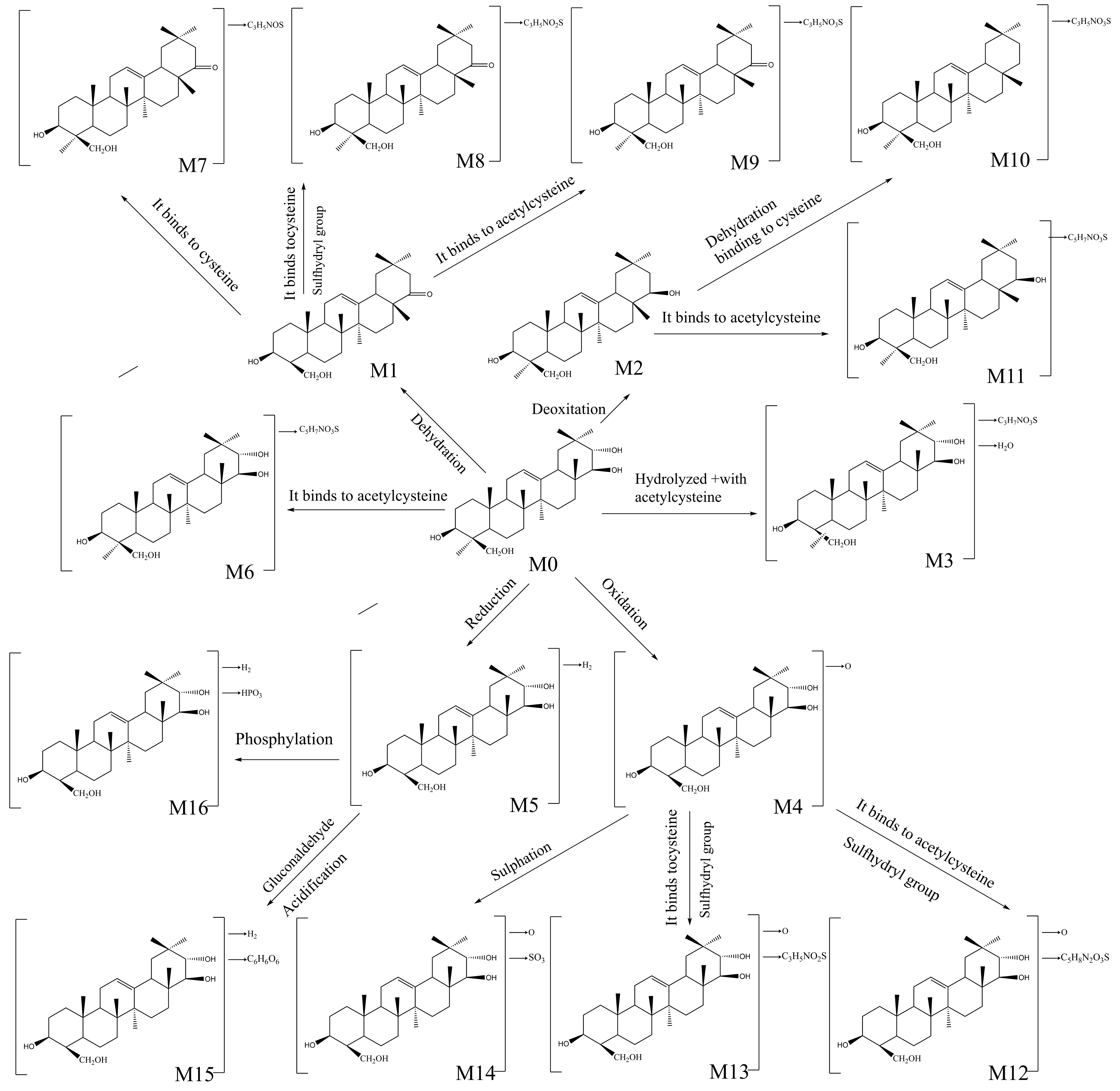 Molecules 28 00284 g005