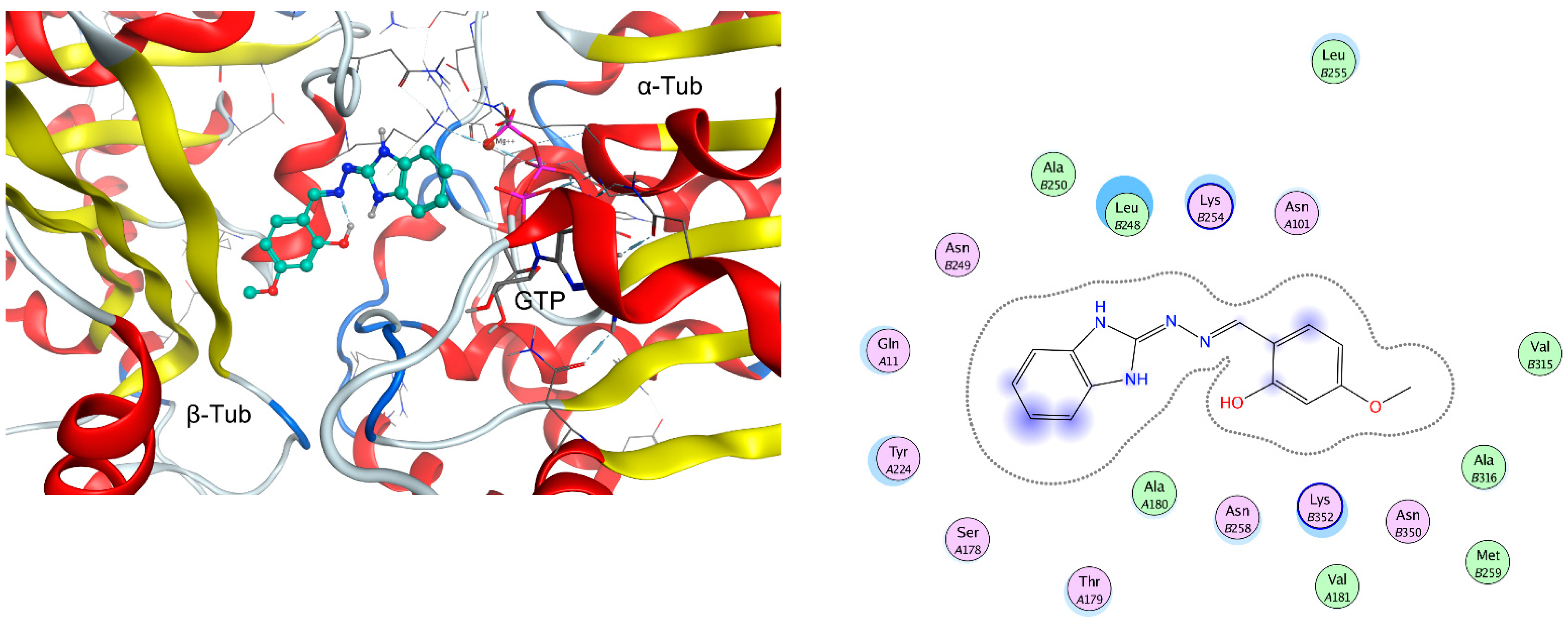 Molecules 28 00291 g004b