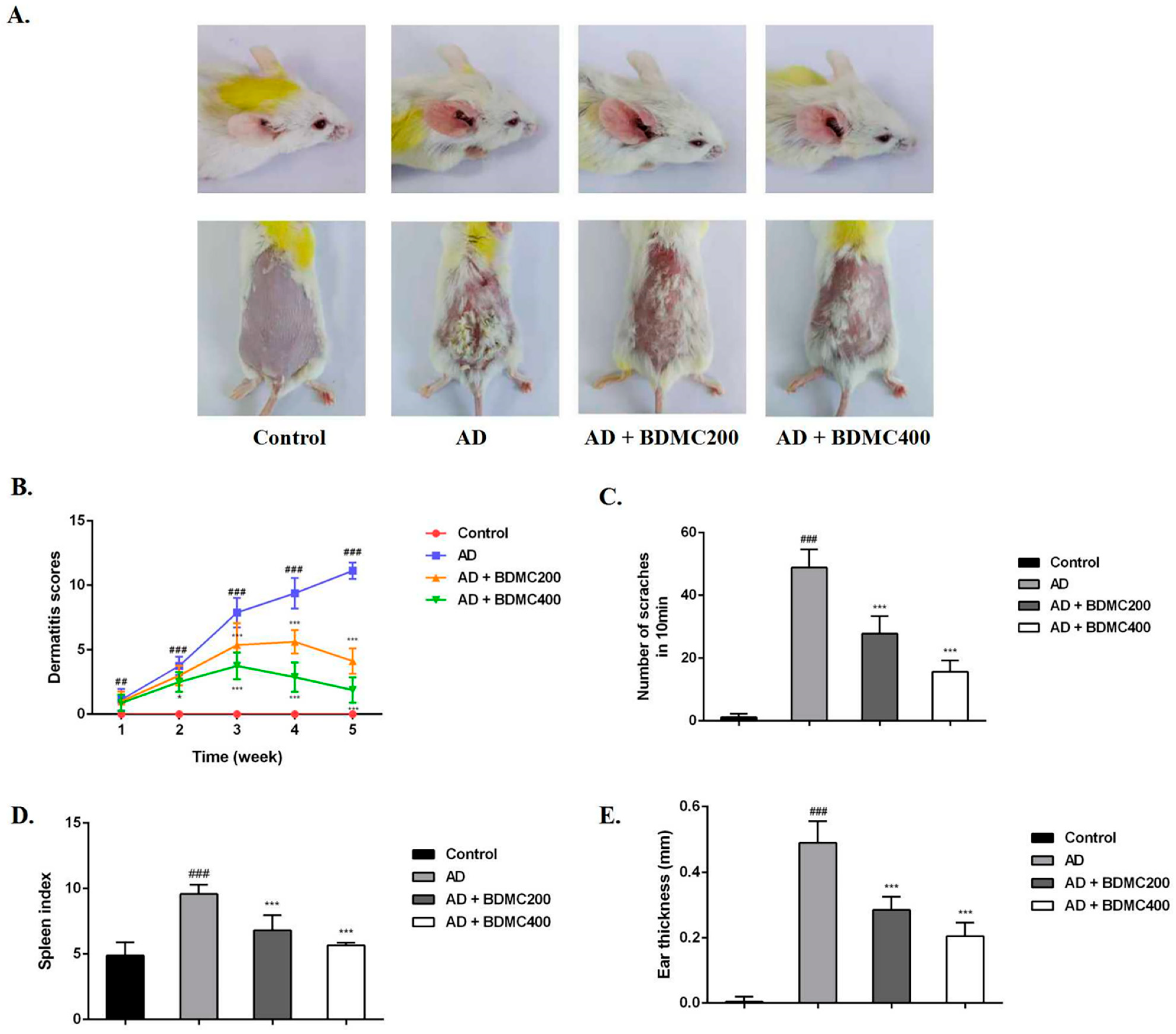 Molecules 28 00293 g002