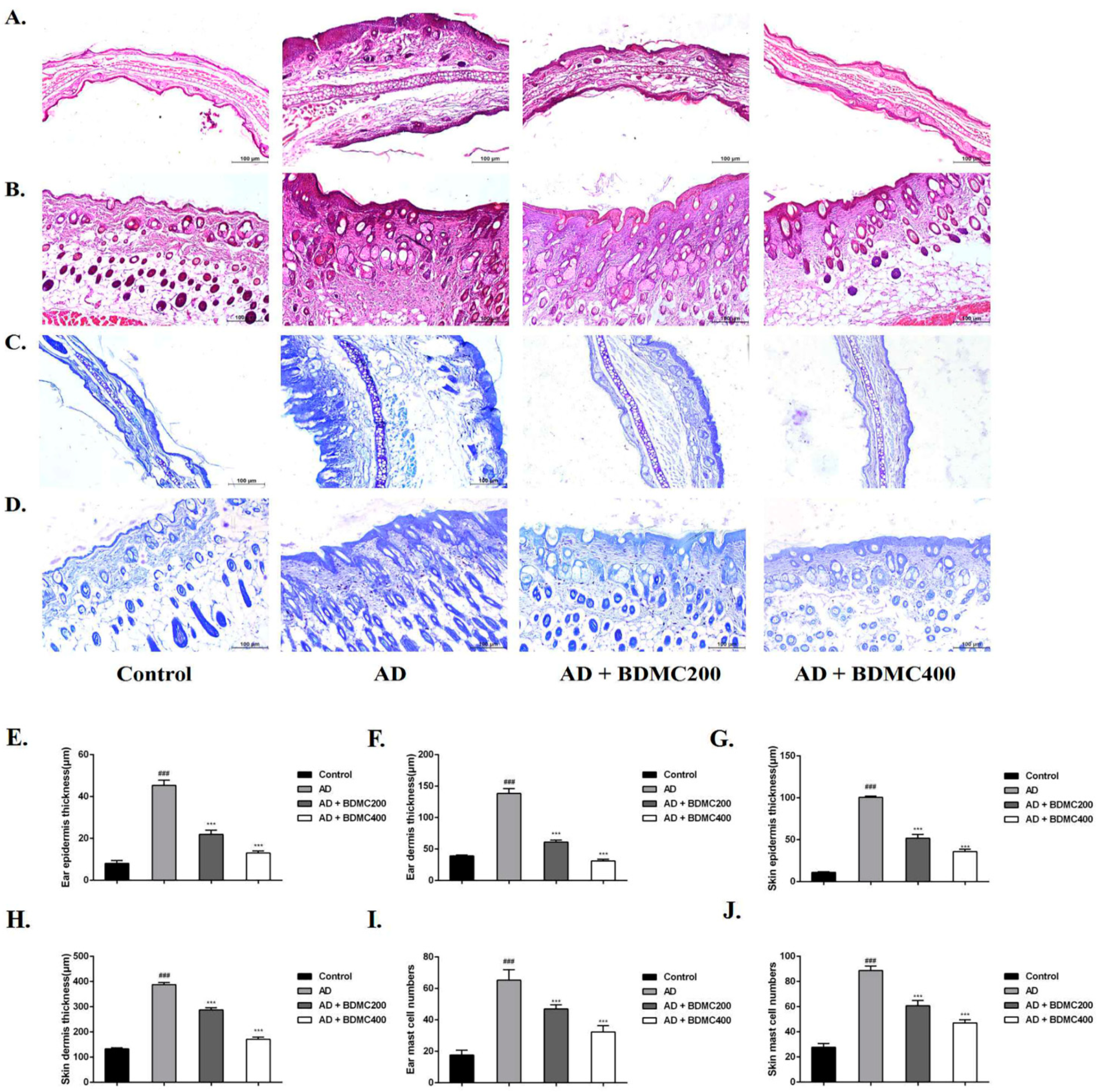 Molecules 28 00293 g004