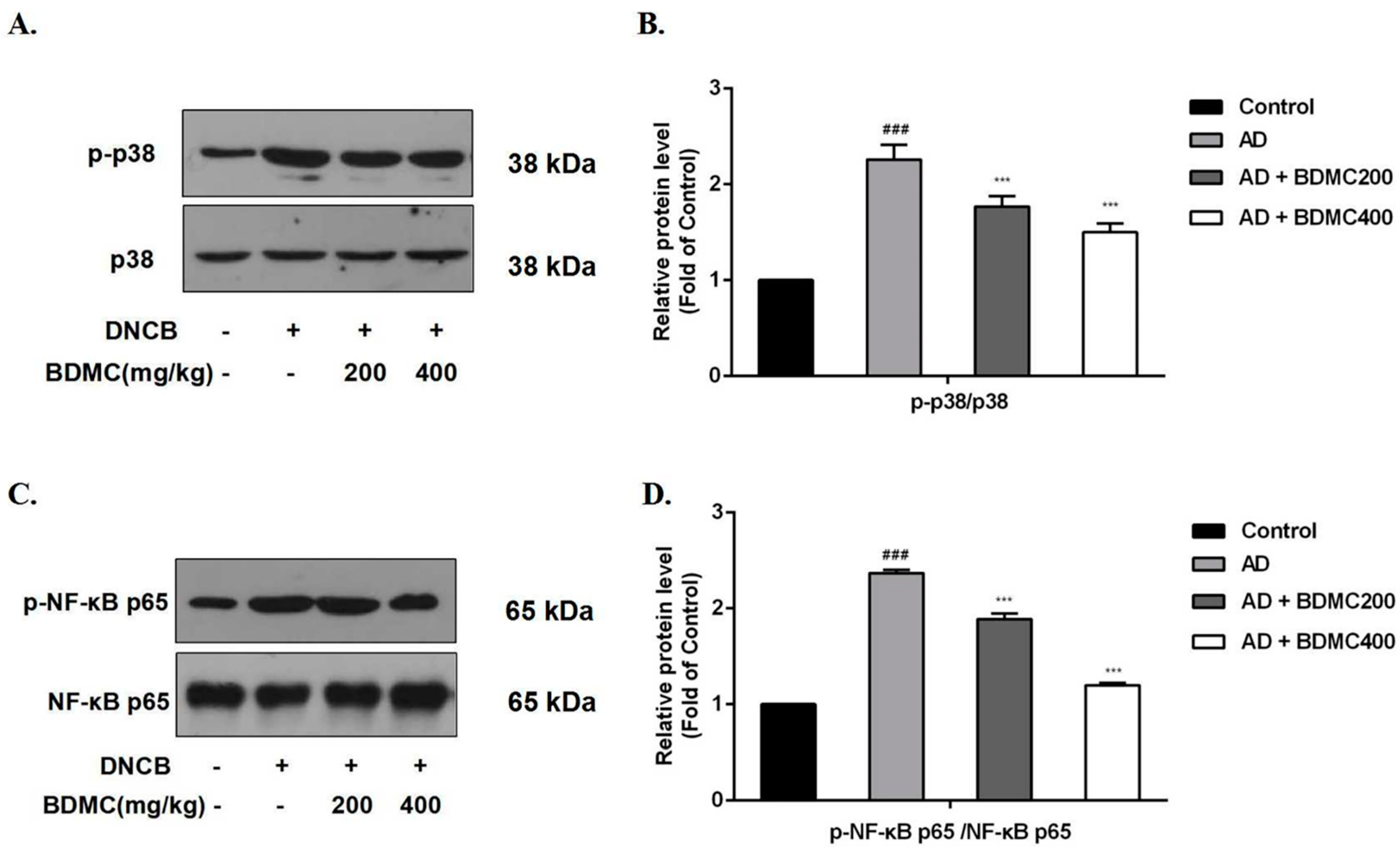 Molecules 28 00293 g006