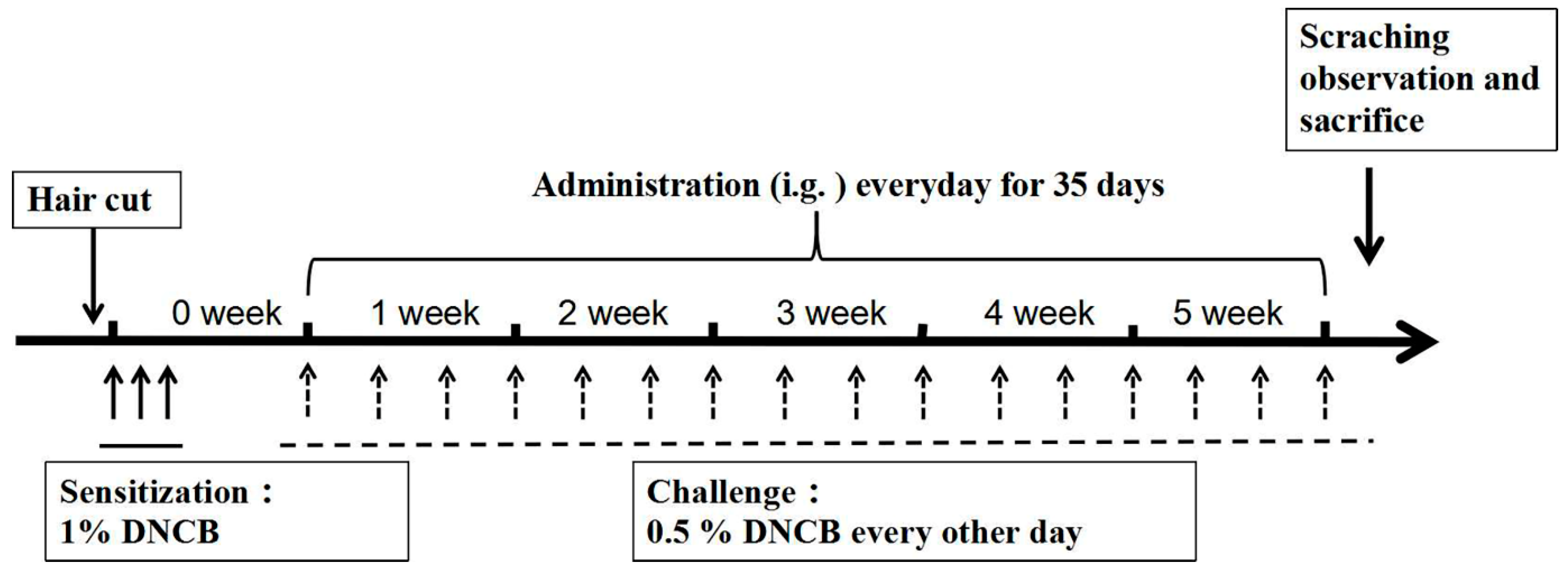 Molecules 28 00293 g007