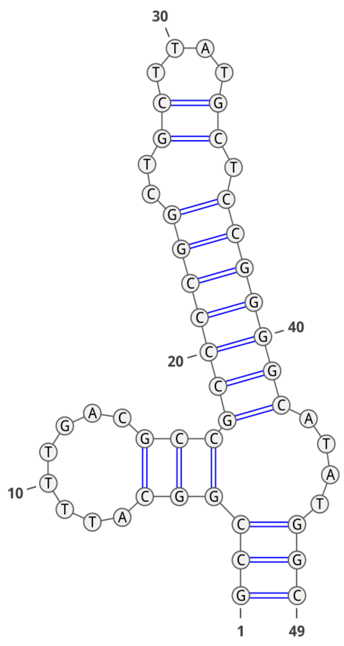 Molecules 28 00294 g006