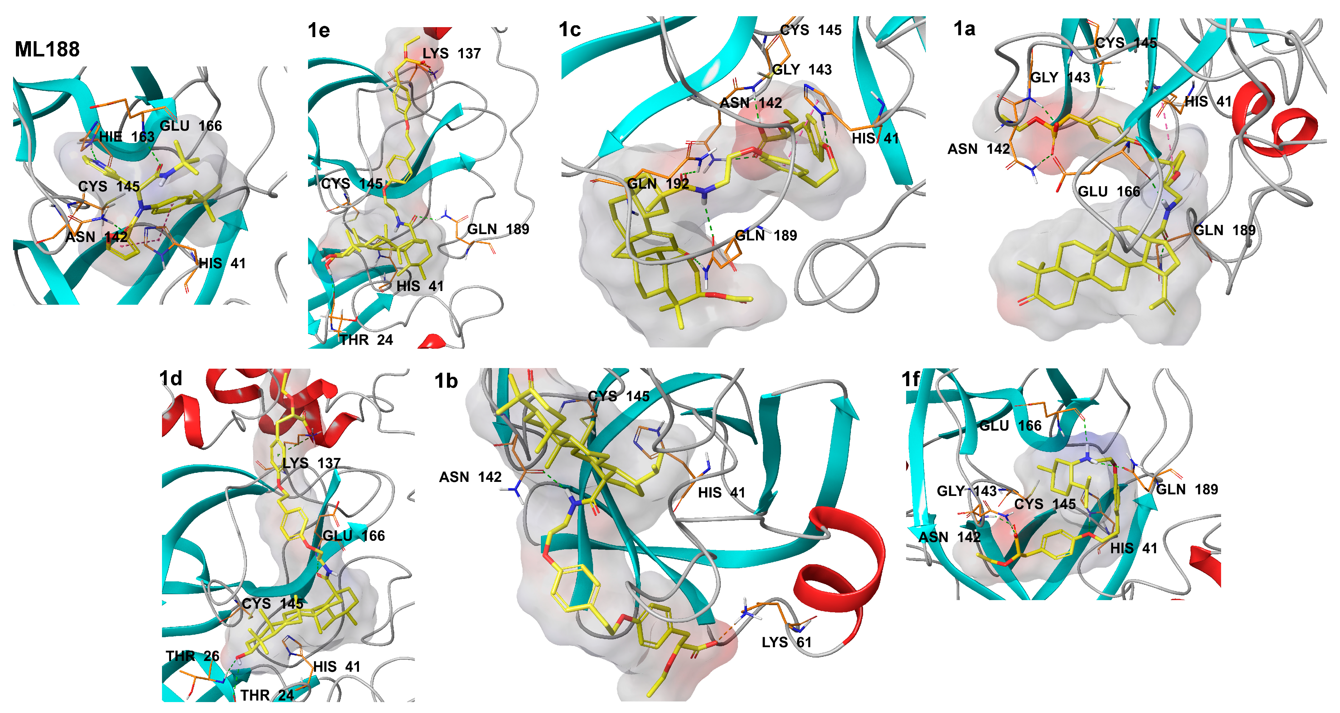 Molecules 28 00303 g004