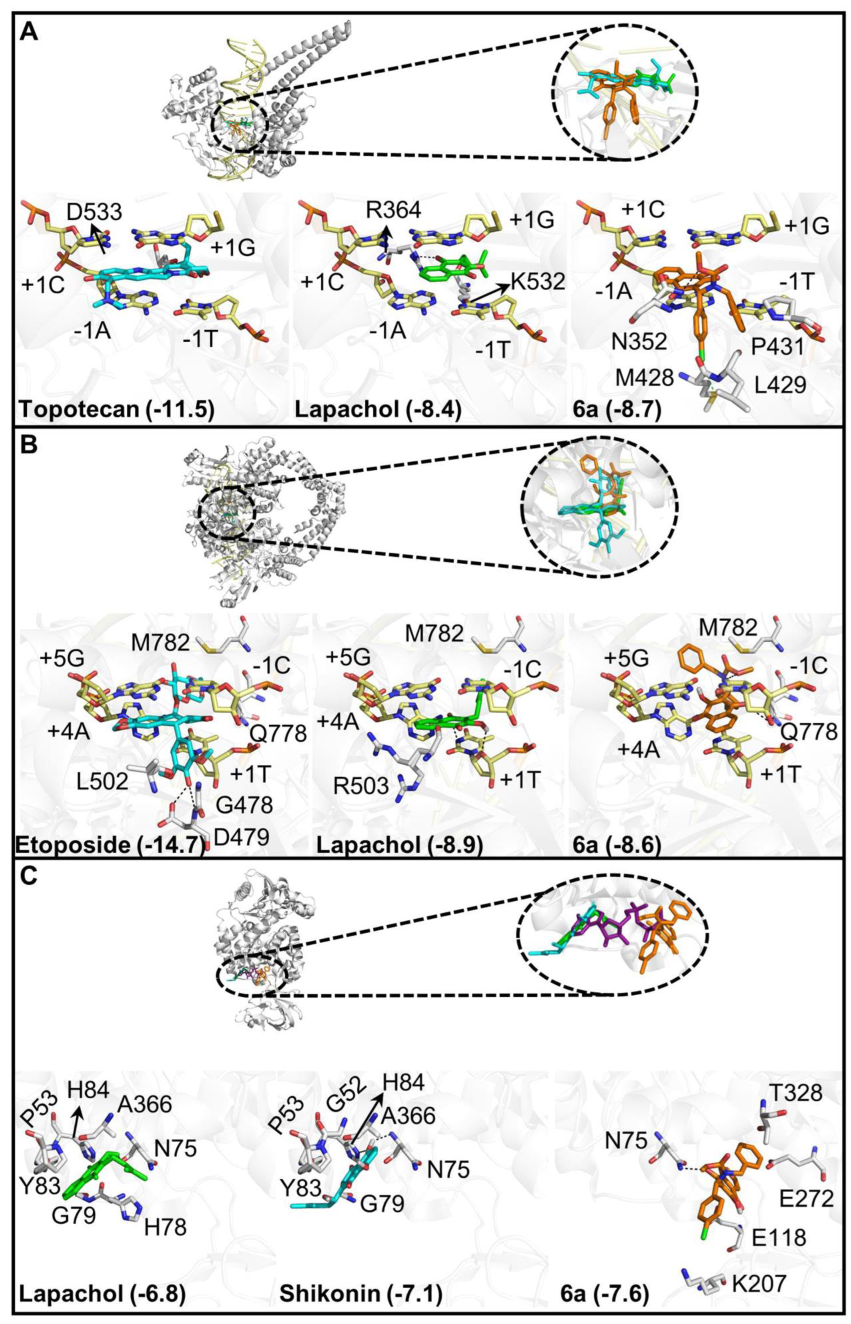 Molecules 28 00309 g002