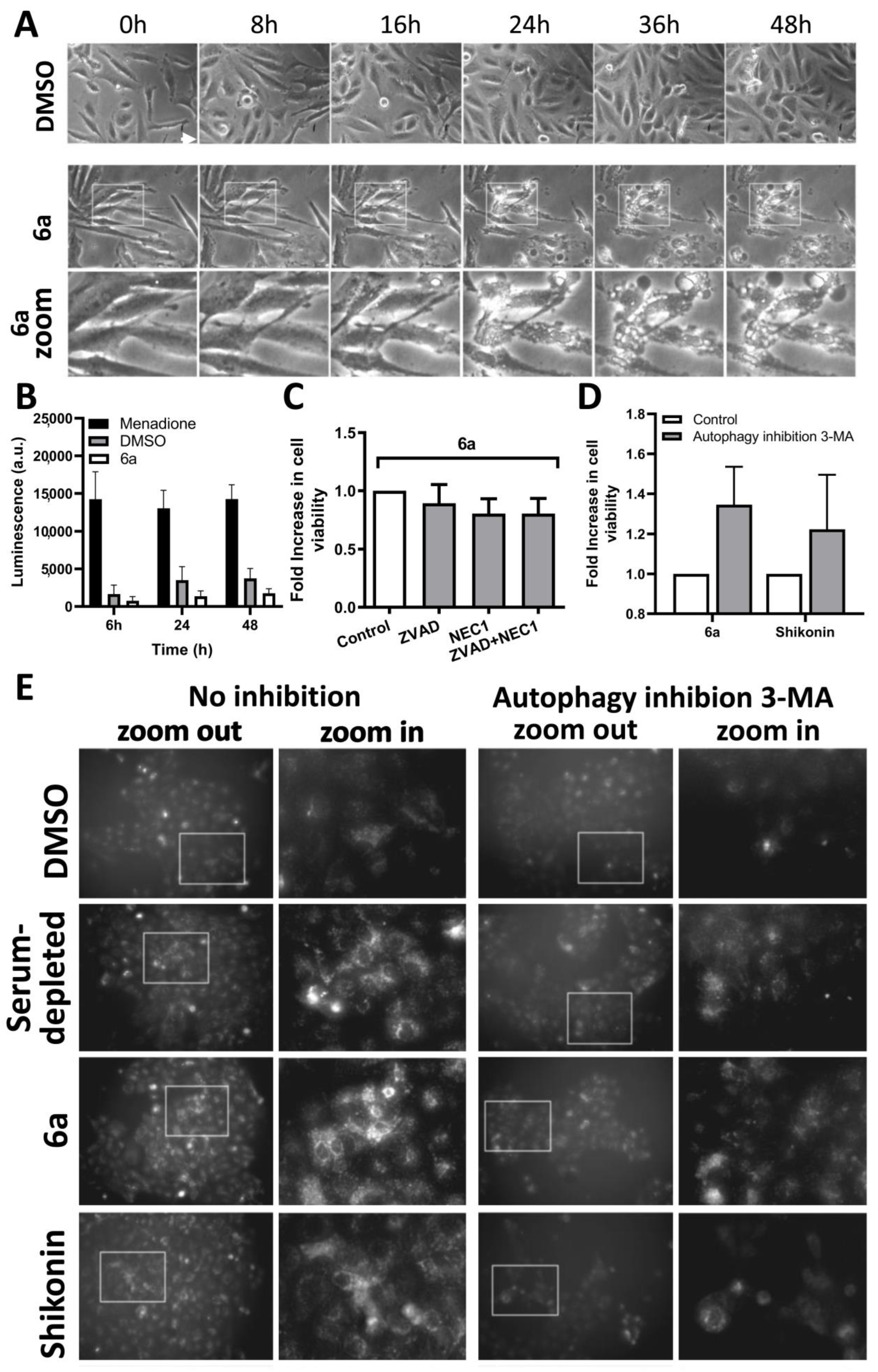 Molecules 28 00309 g003