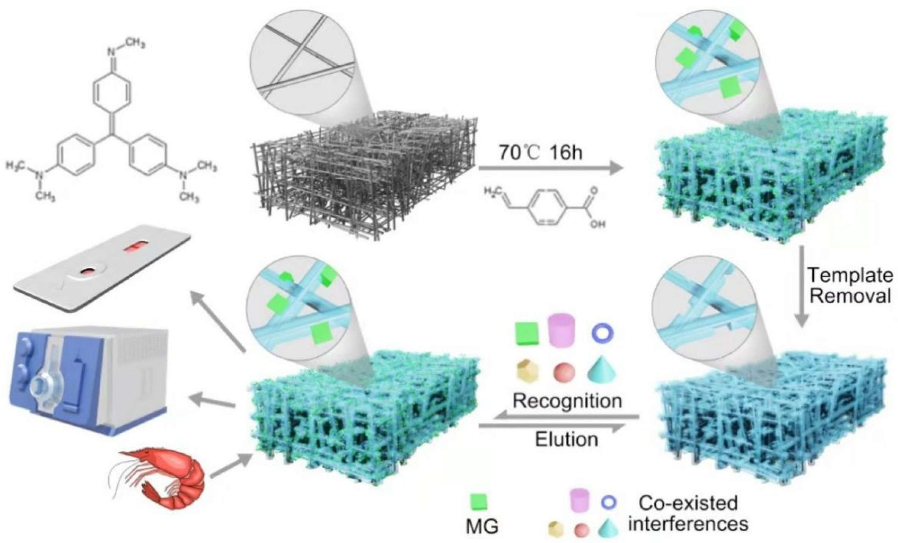 Molecules 28 00310 g001