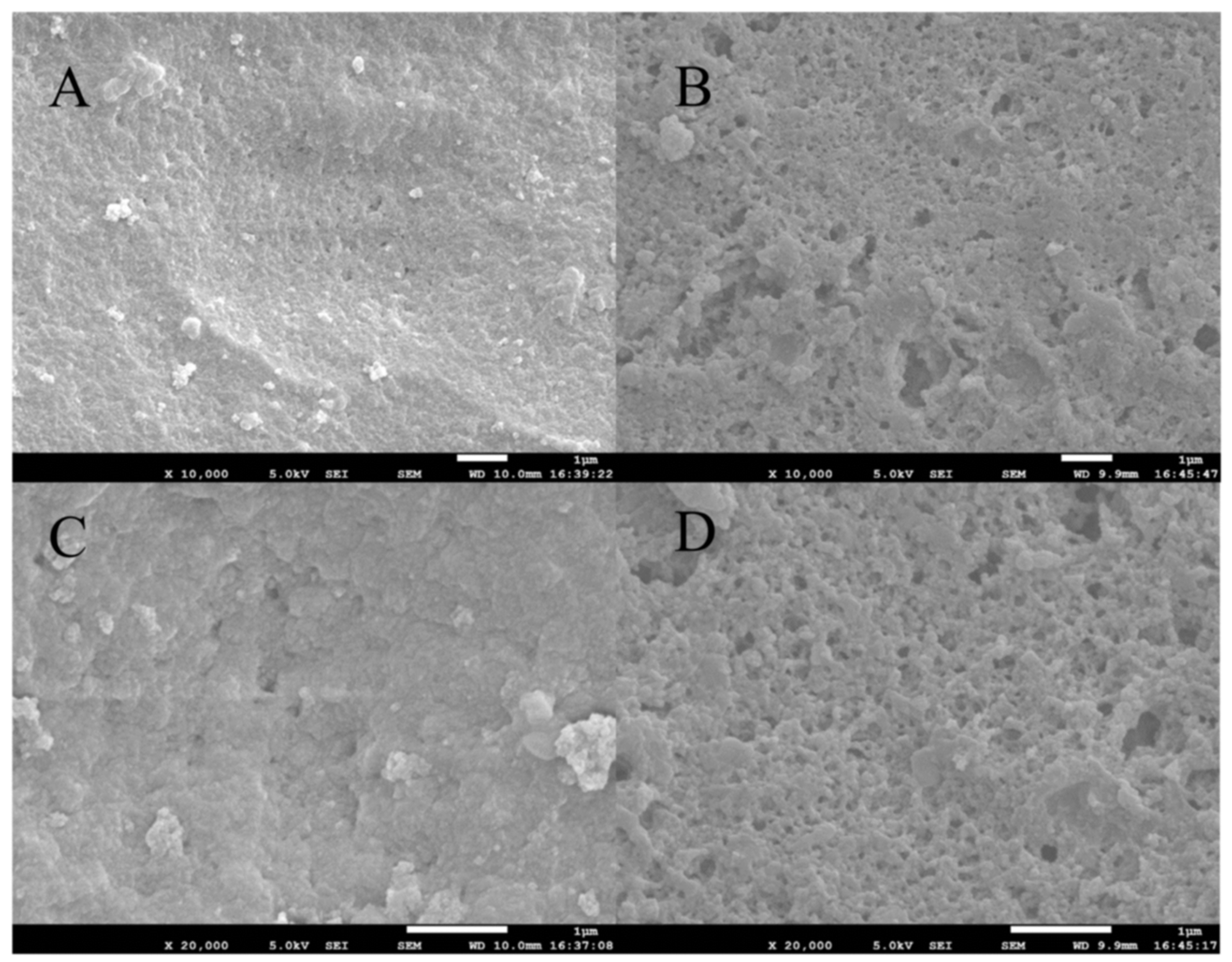 Molecules 28 00310 g002