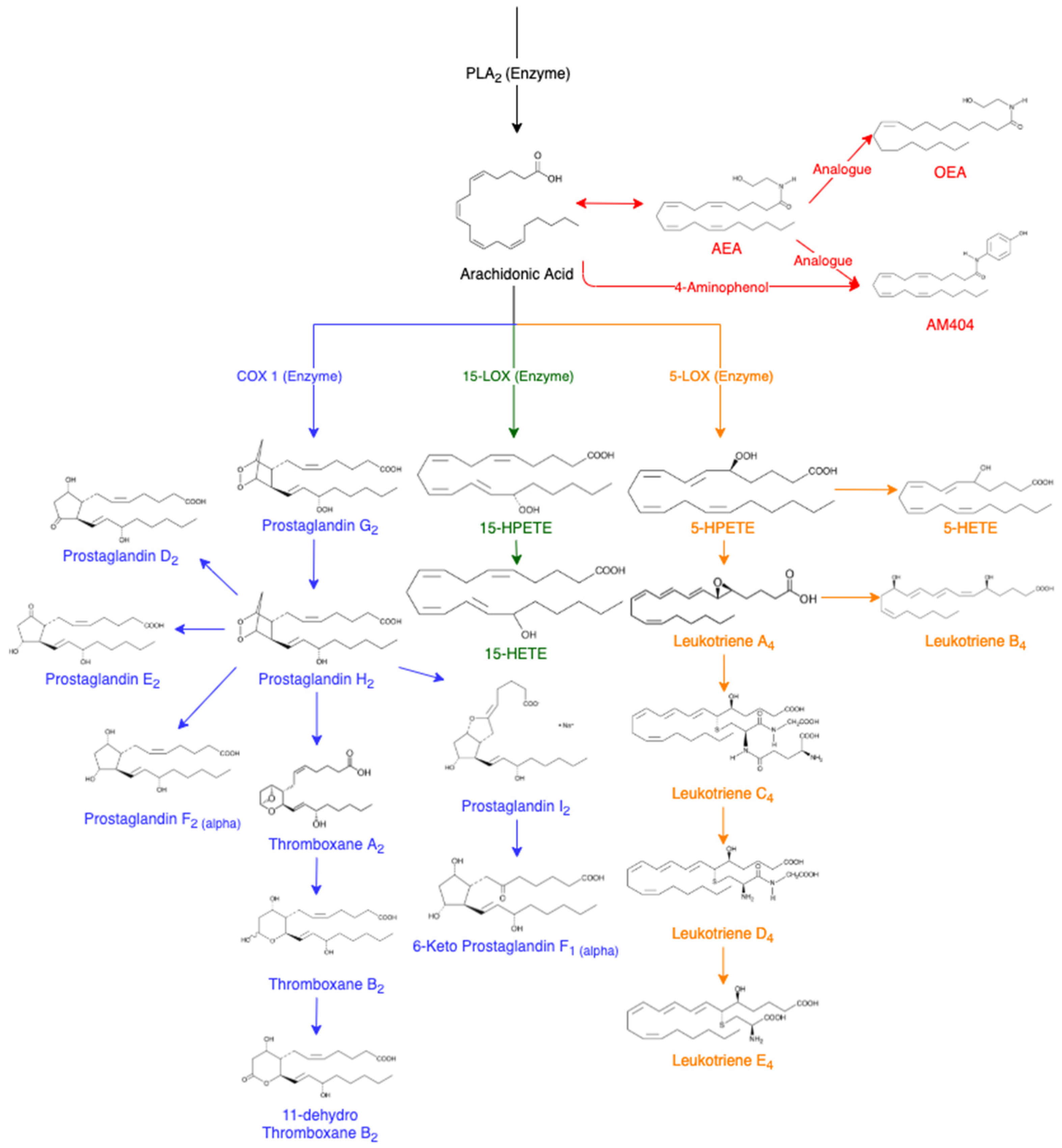 Molecules 28 00312 g001