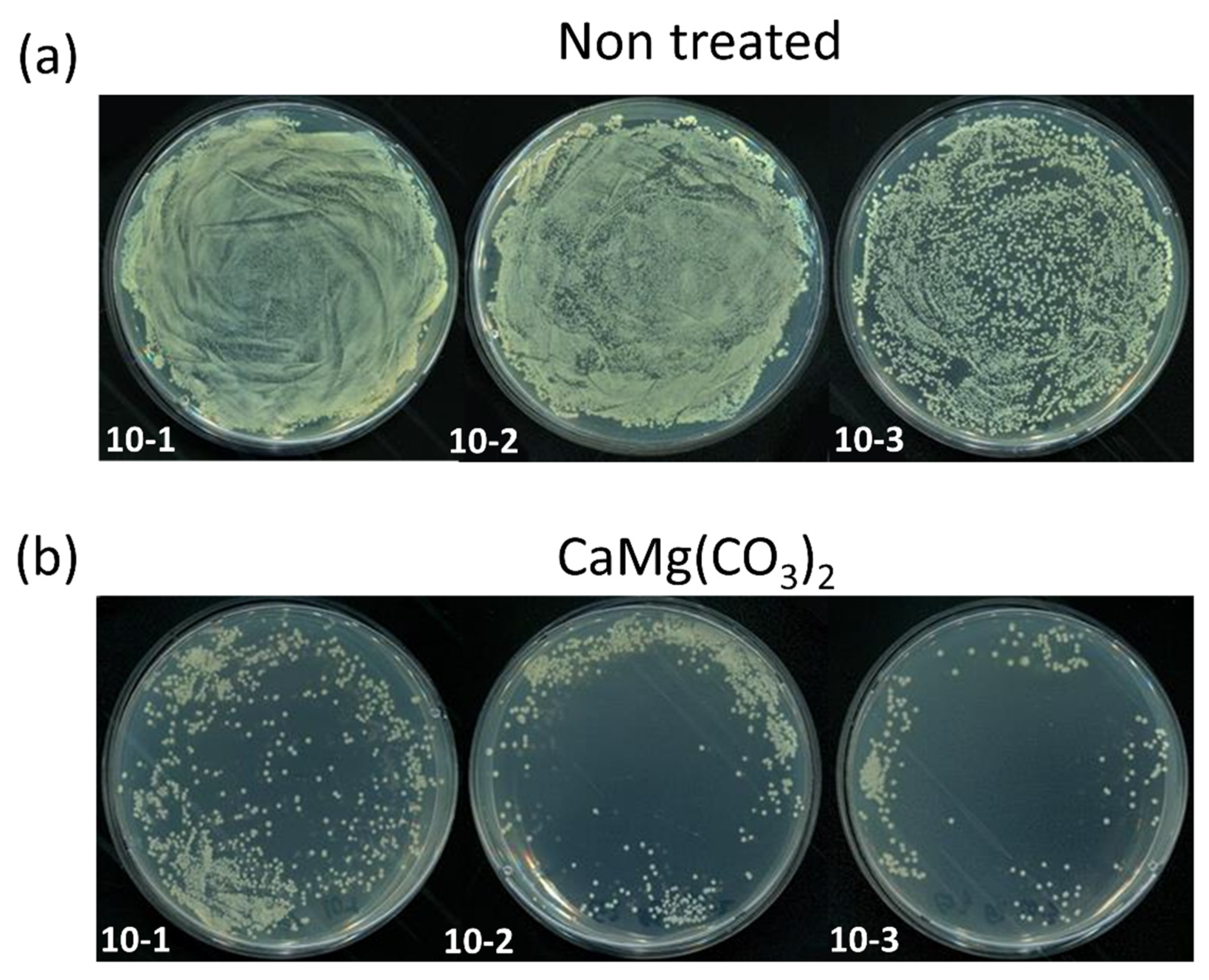 Molecules 28 00316 g002 Molecules 28 00316 g002