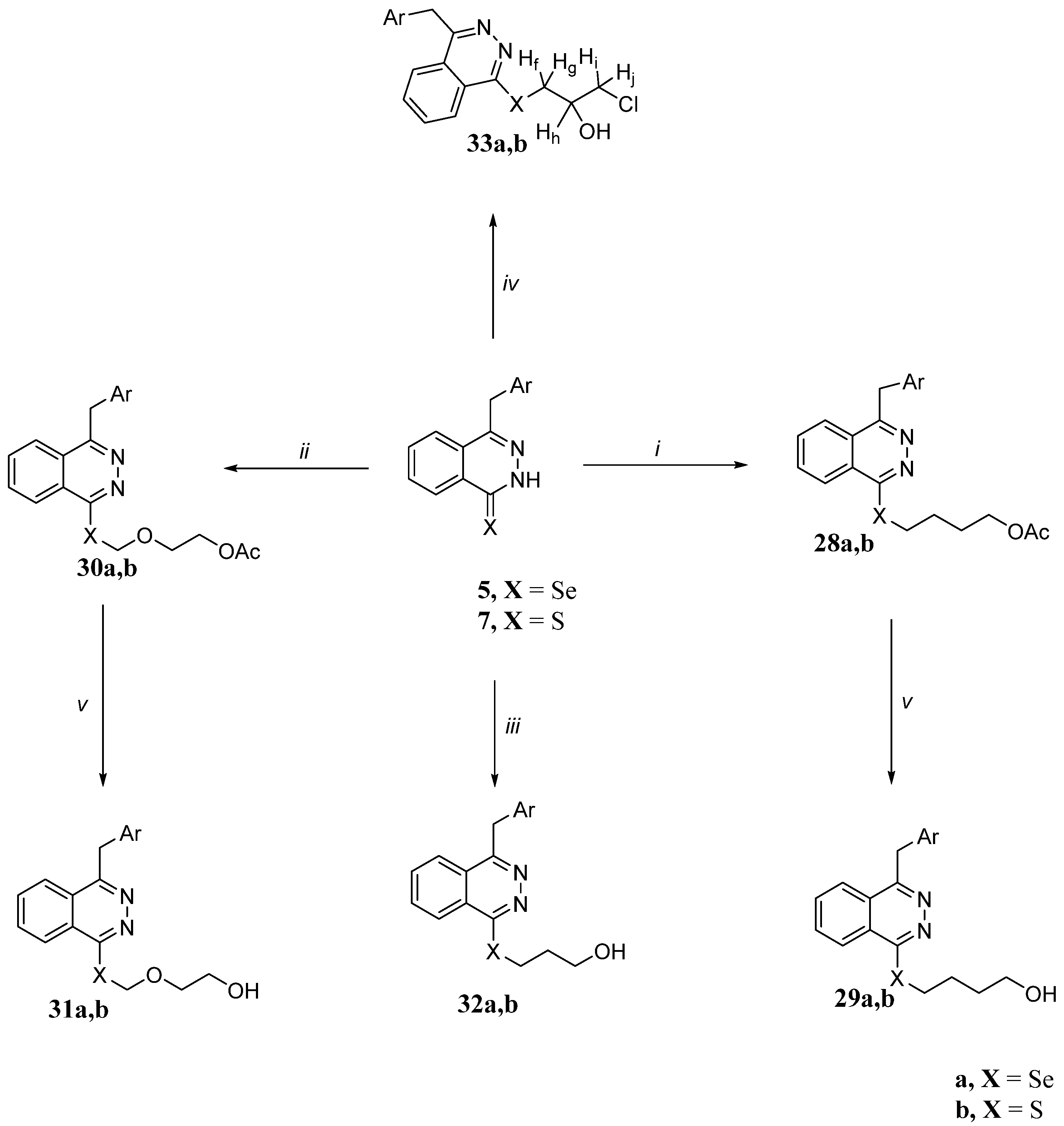 Molecules 28 00317 sch006