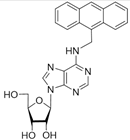 Molecules 28 00323 i007