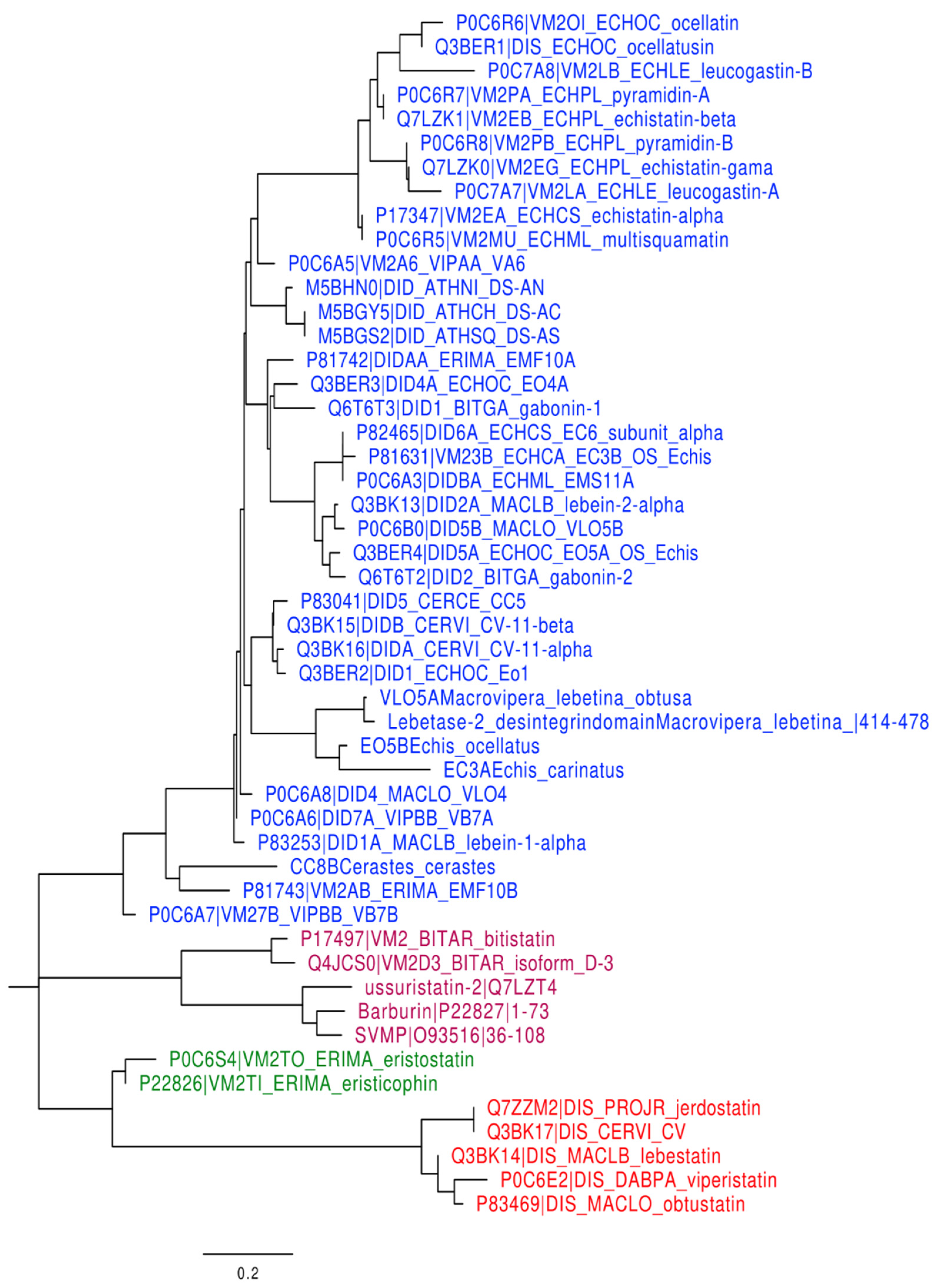 Molecules 28 00325 g002
