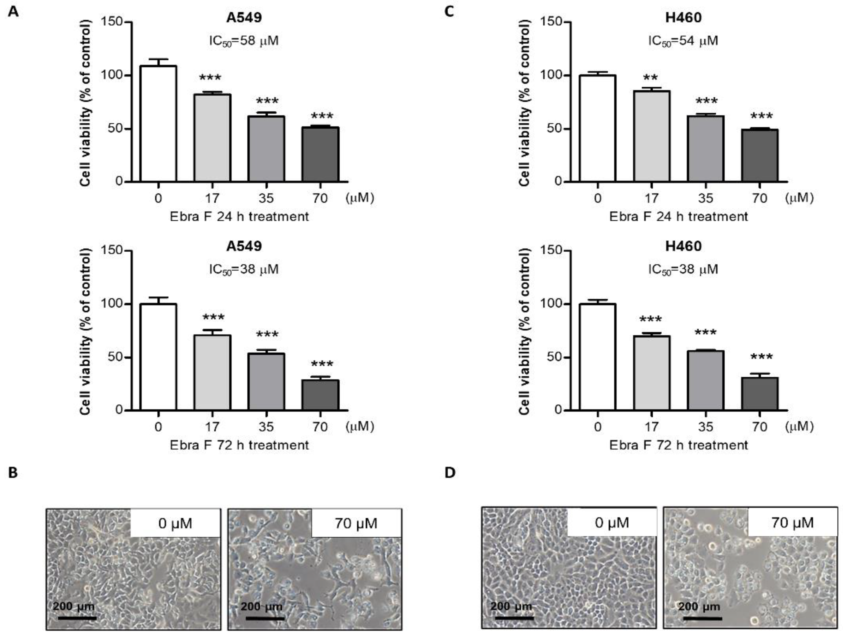 Molecules 28 00329 g001