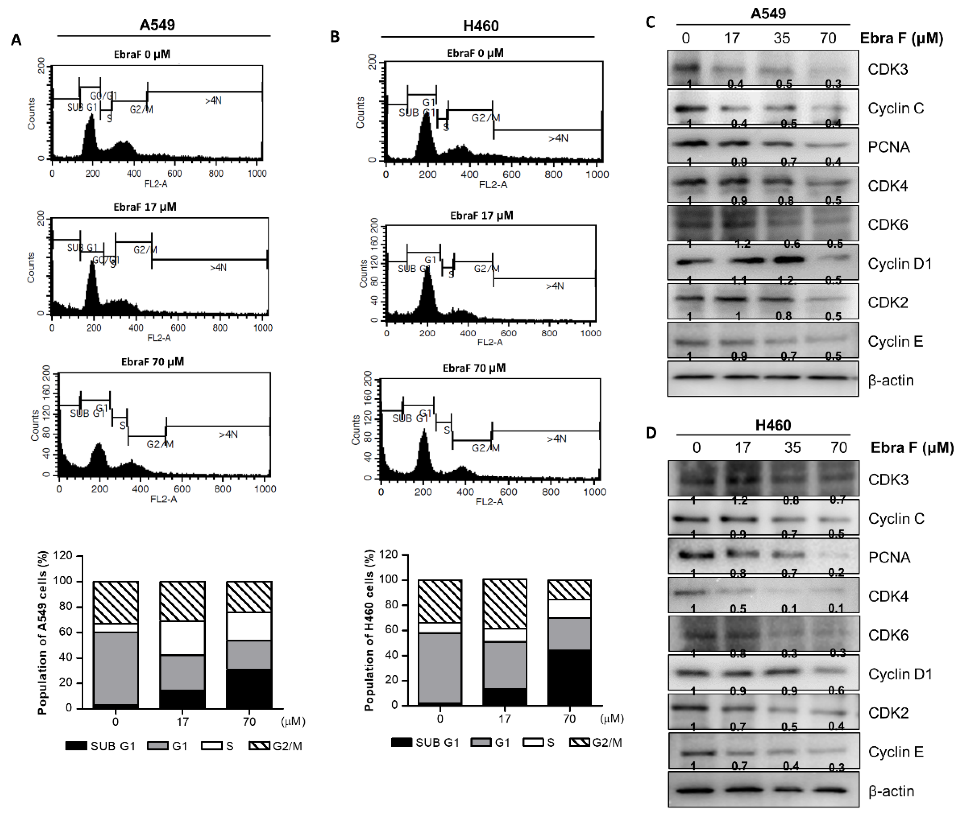 Molecules 28 00329 g003