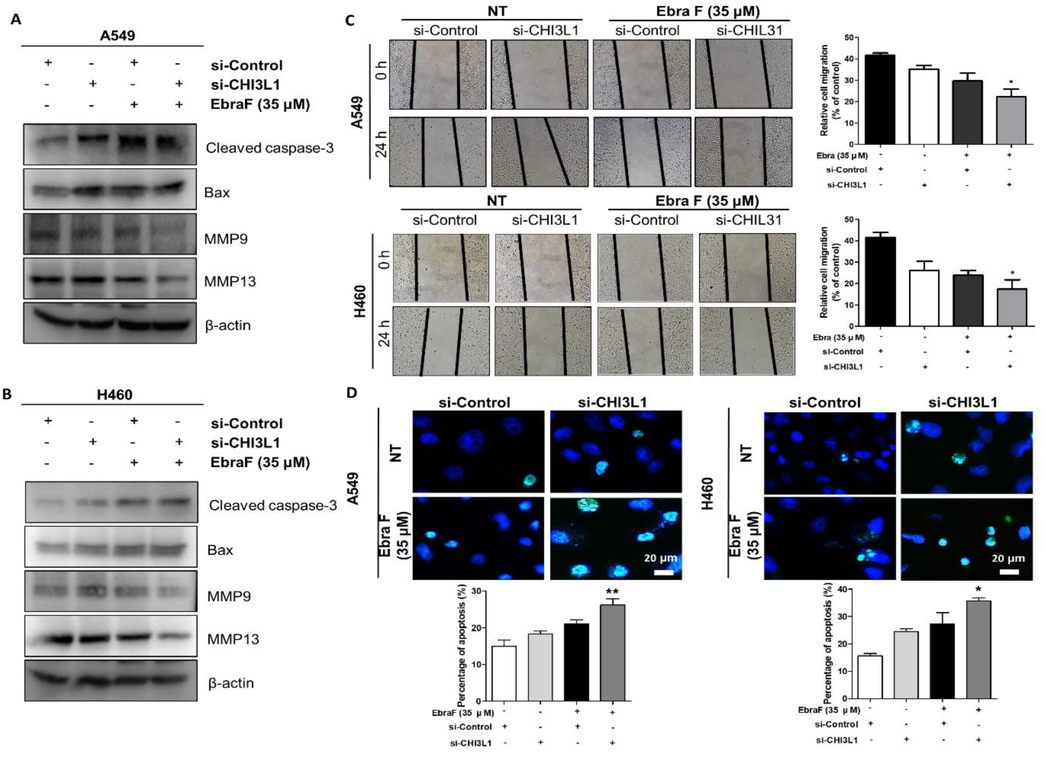 Molecules 28 00329 g006