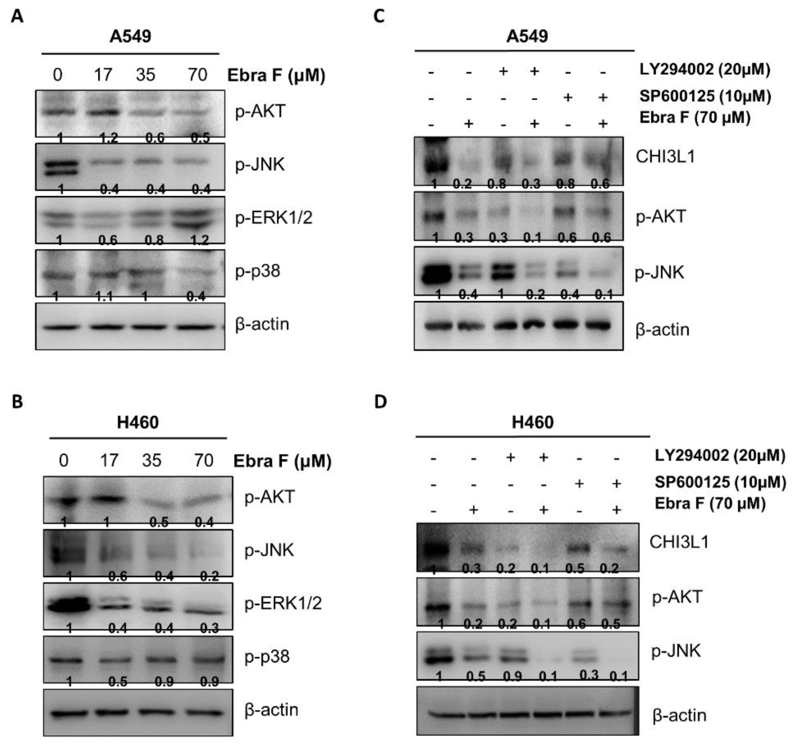 Molecules 28 00329 g007