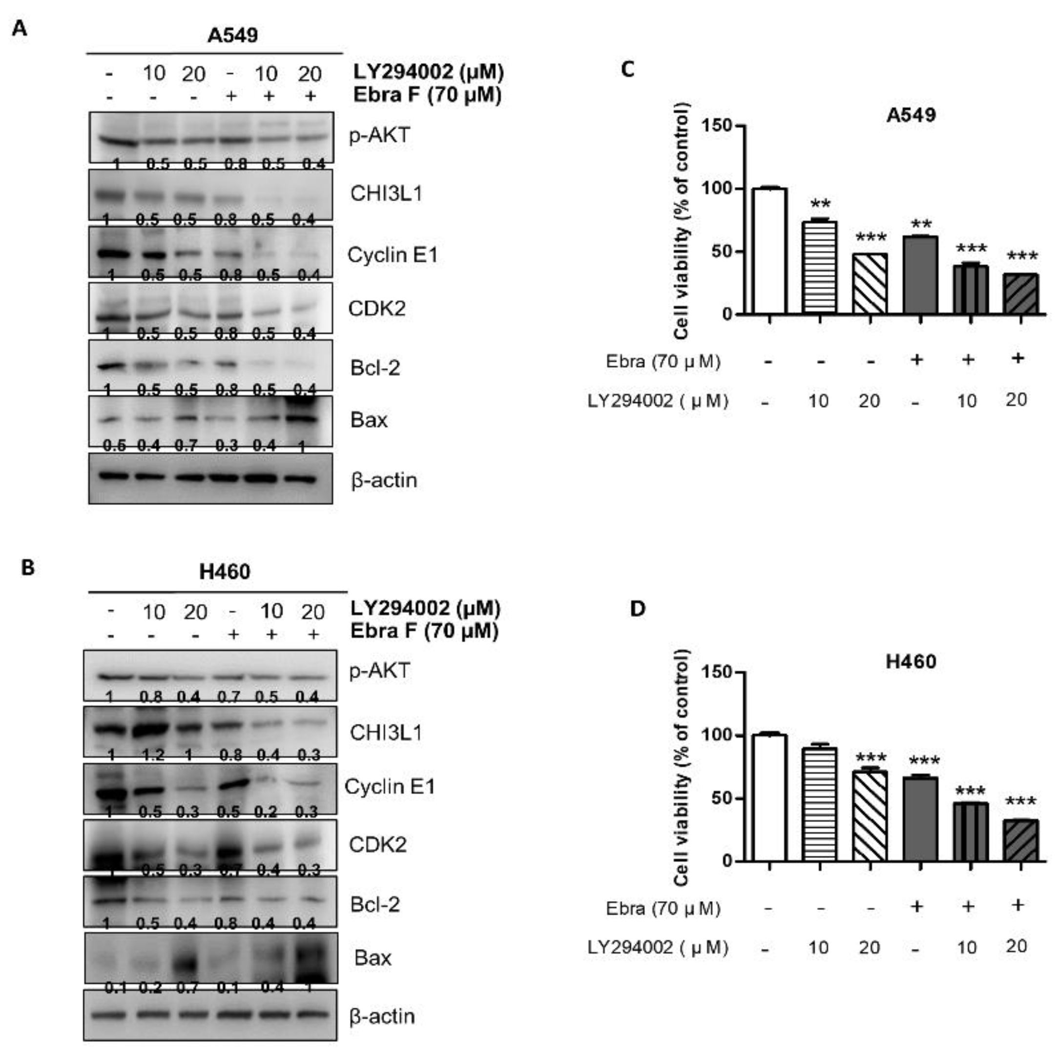 Molecules 28 00329 g008a
