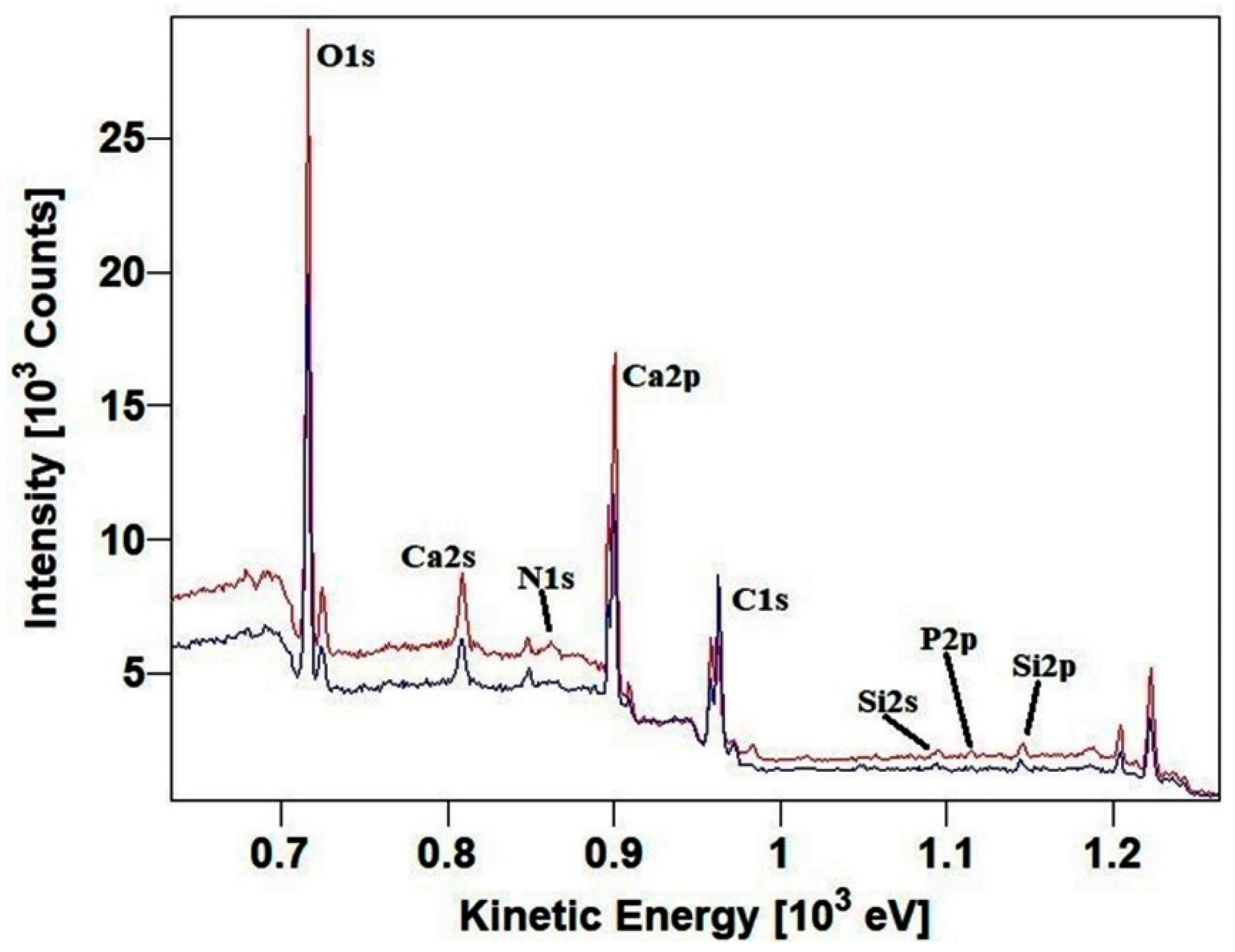 Molecules 28 00330 g003