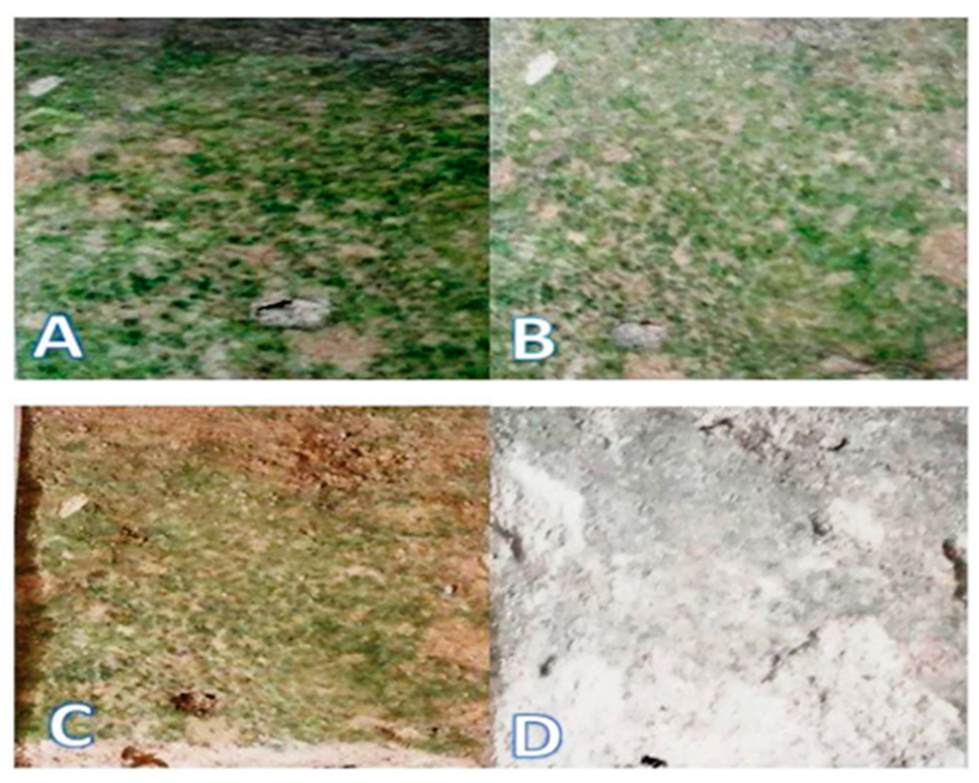 Molecules 28 00330 g008