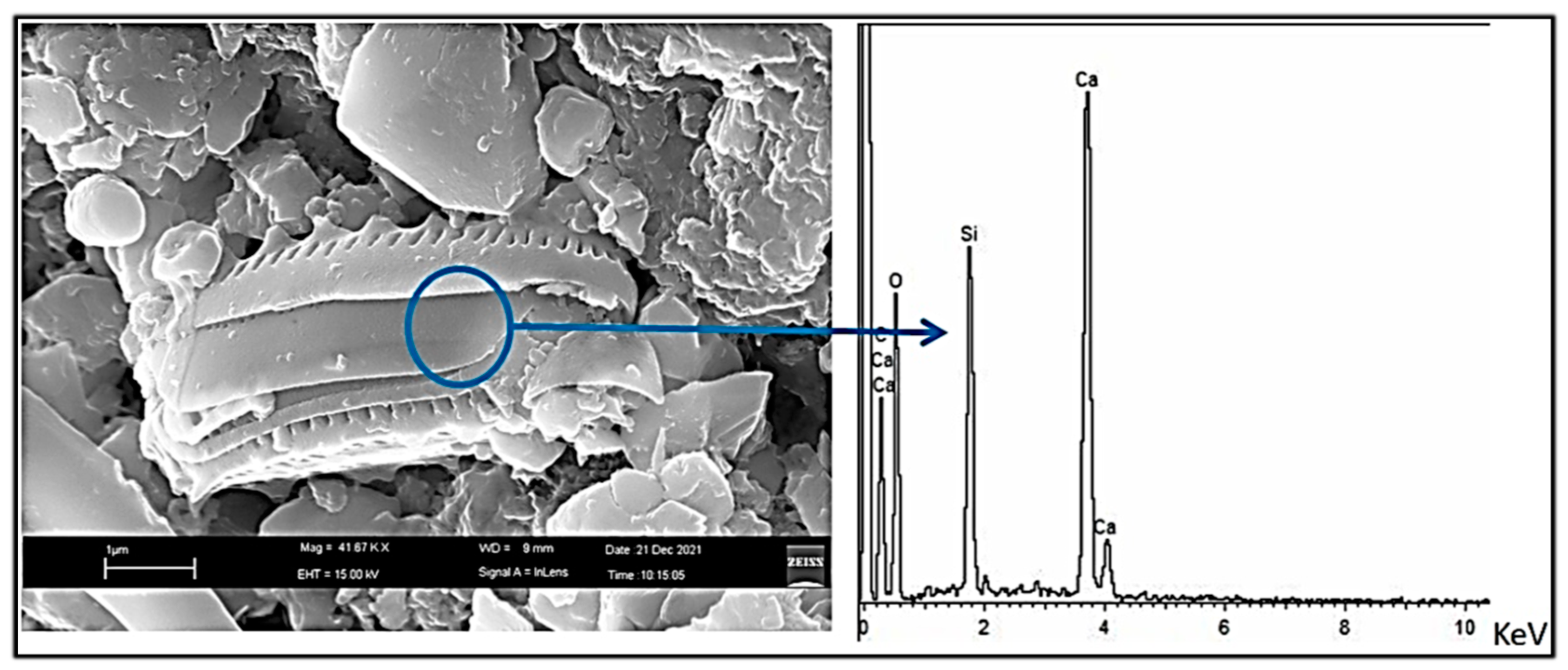Molecules 28 00330 g010