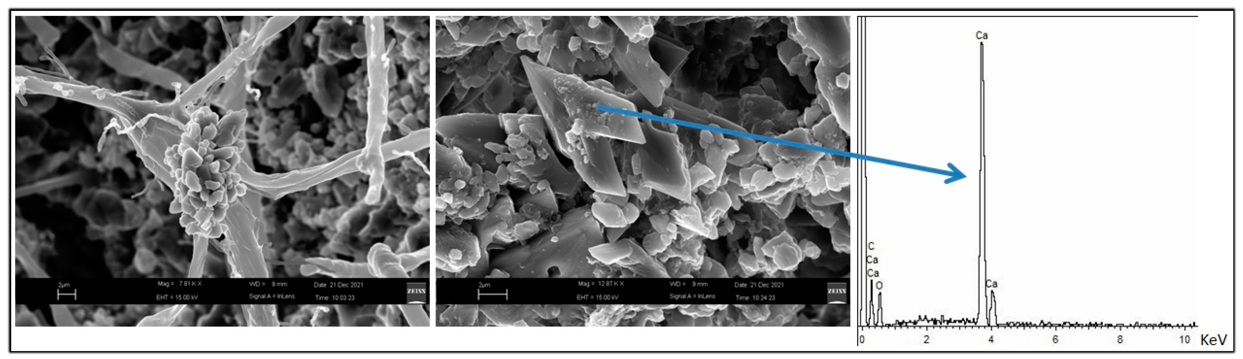 Molecules 28 00330 g011