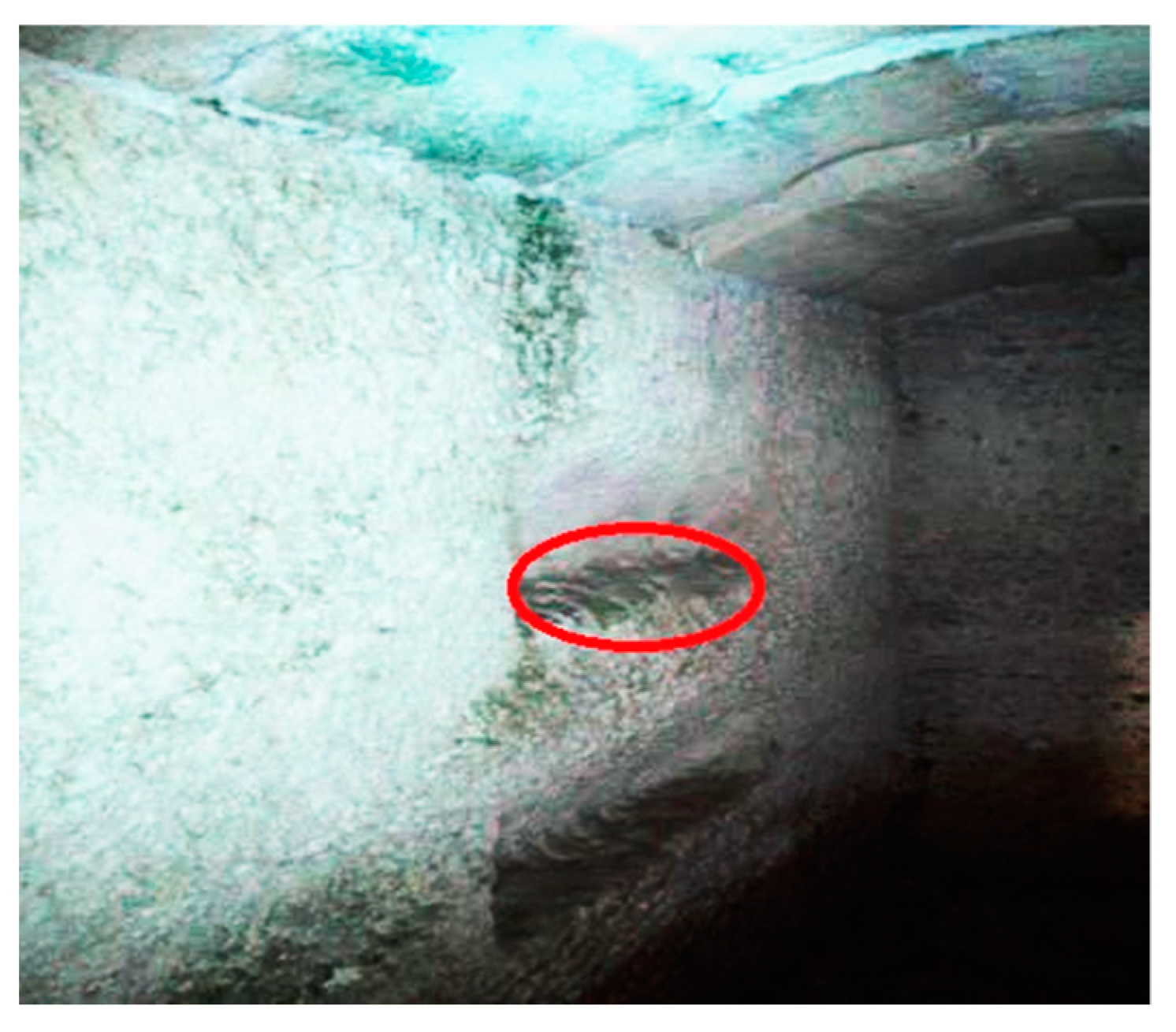 Molecules 28 00330 g012