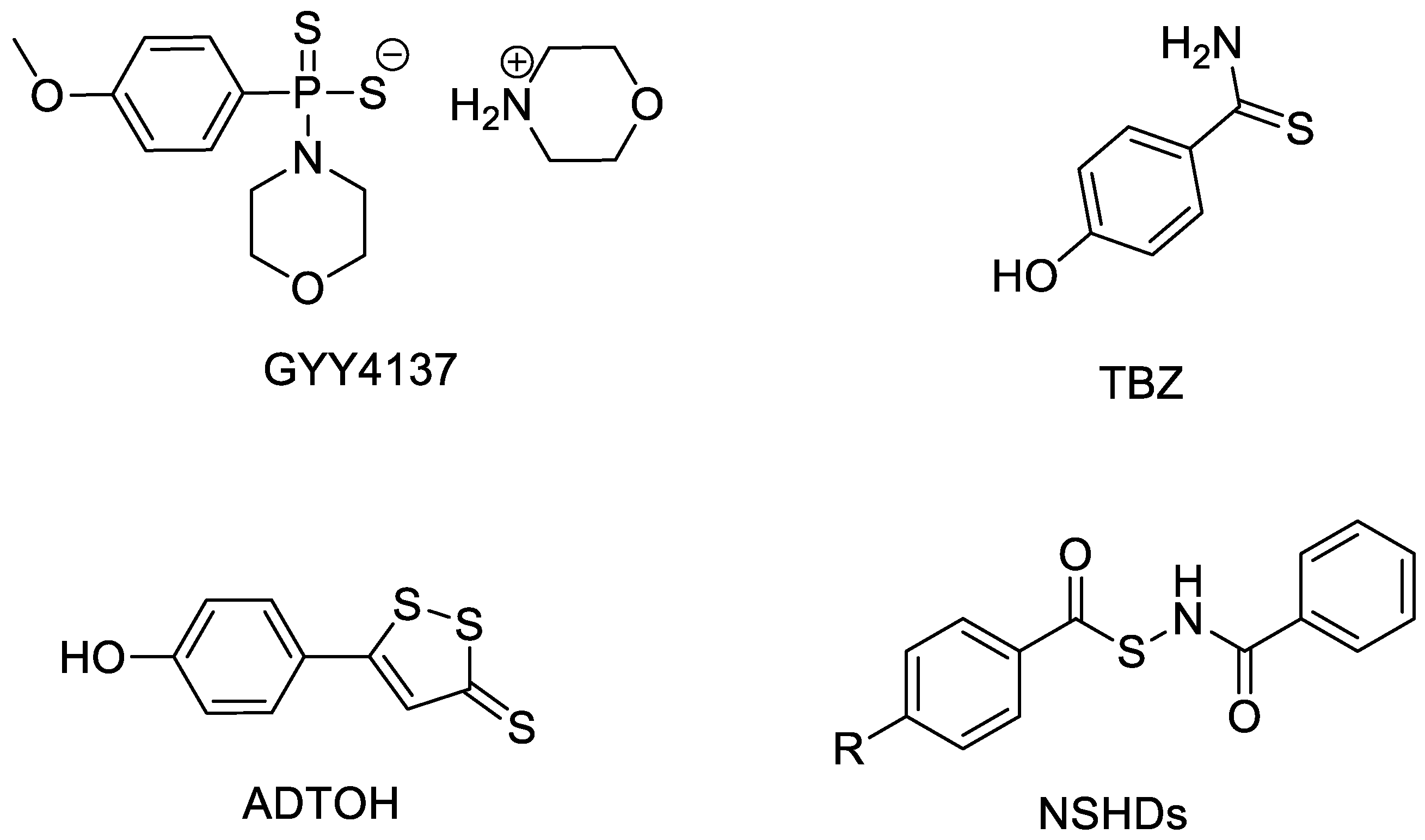 Molecules 28 00331 g001