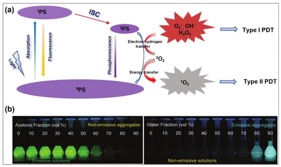Molecules 28 00332 g001