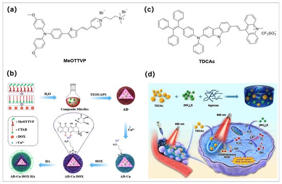 Molecules 28 00332 g006