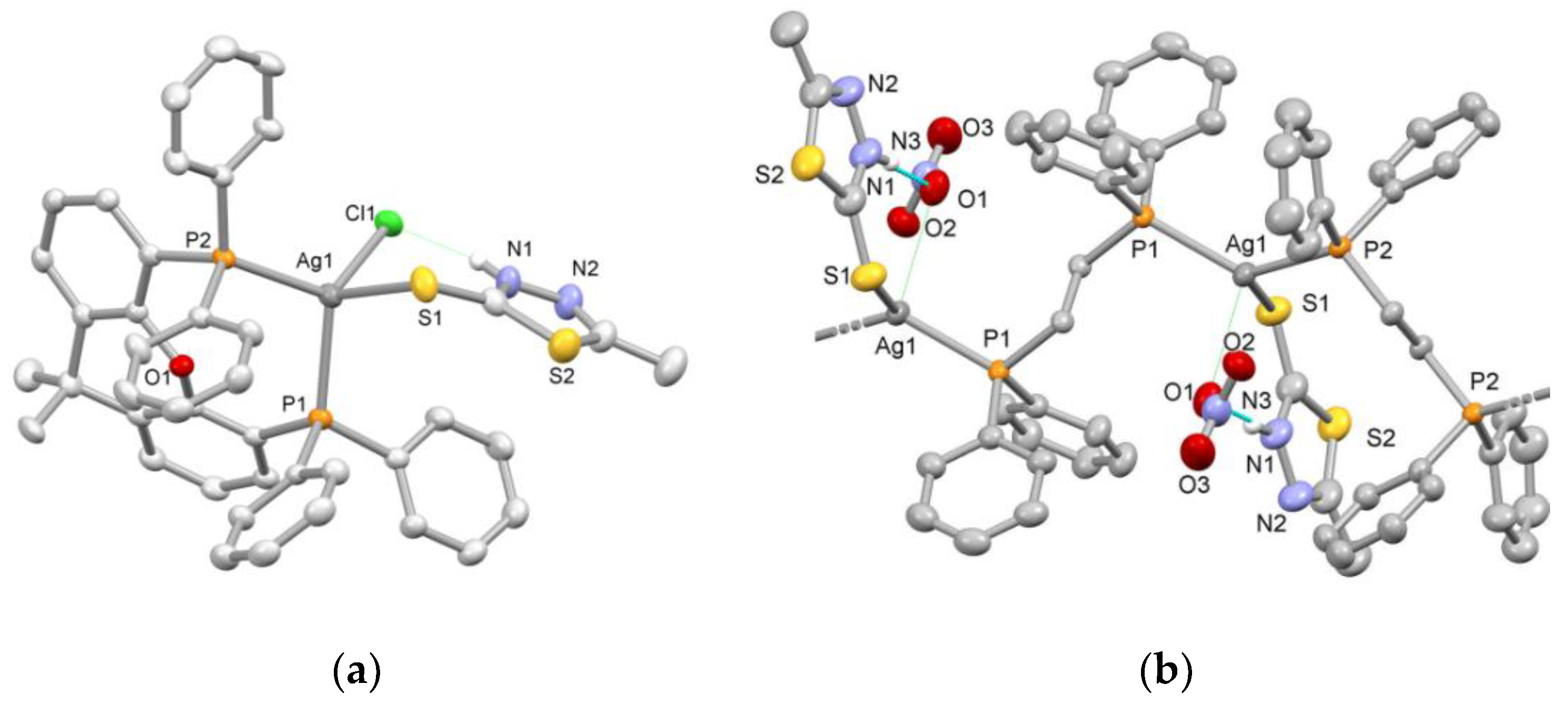 Molecules 28 00336 g001