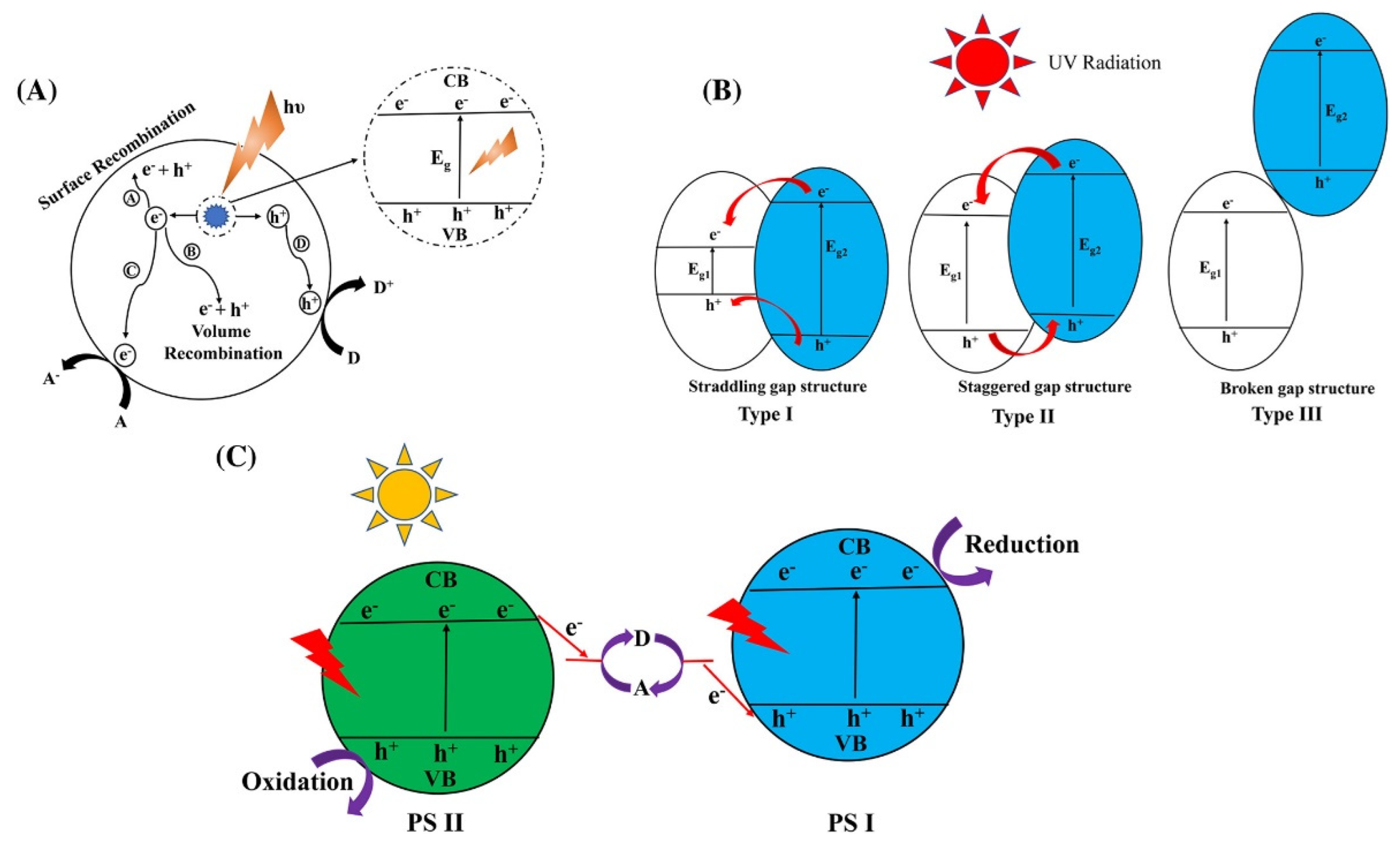 Molecules 28 00339 g003