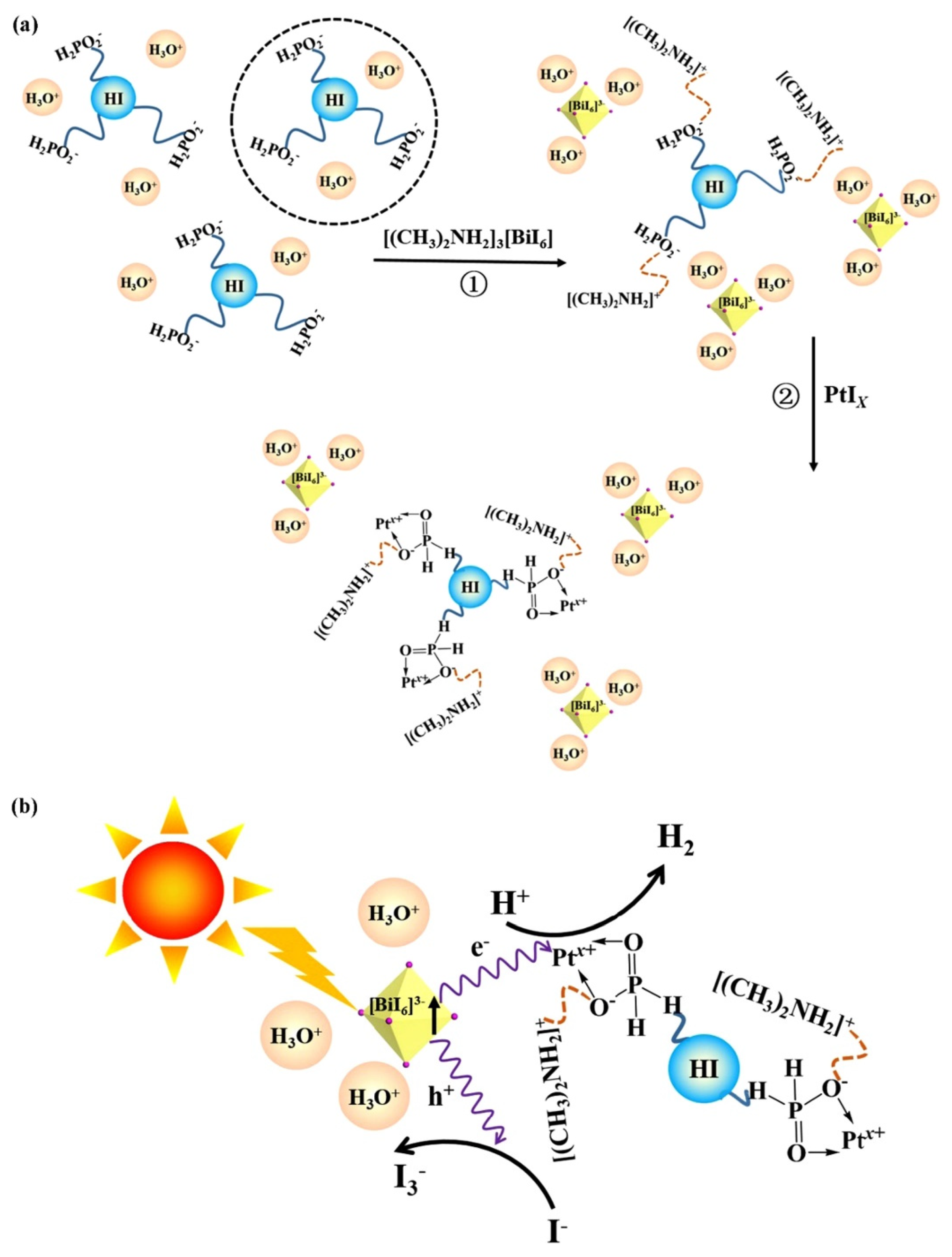 Molecules 28 00339 g004
