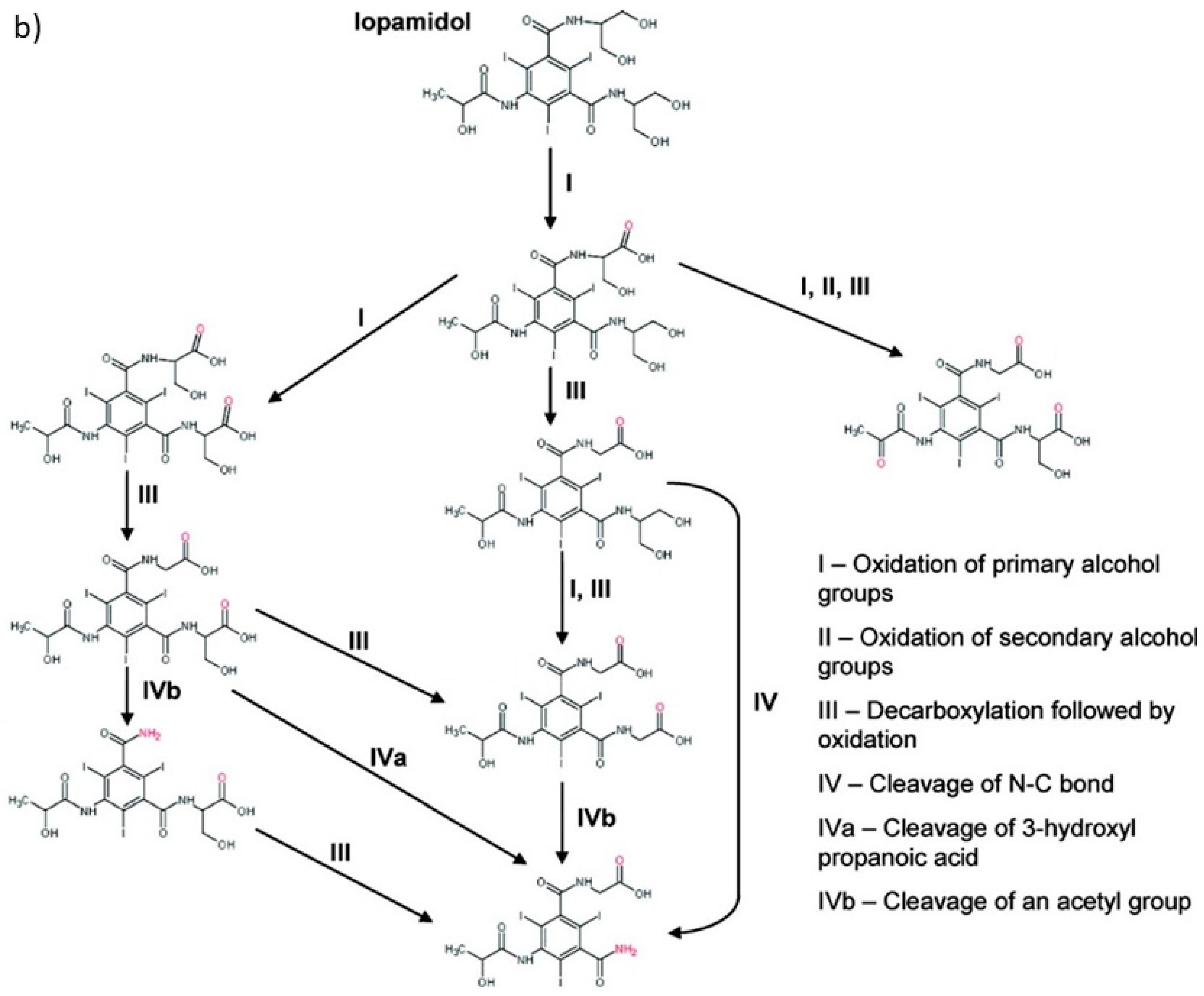 Molecules 28 00341 g001b