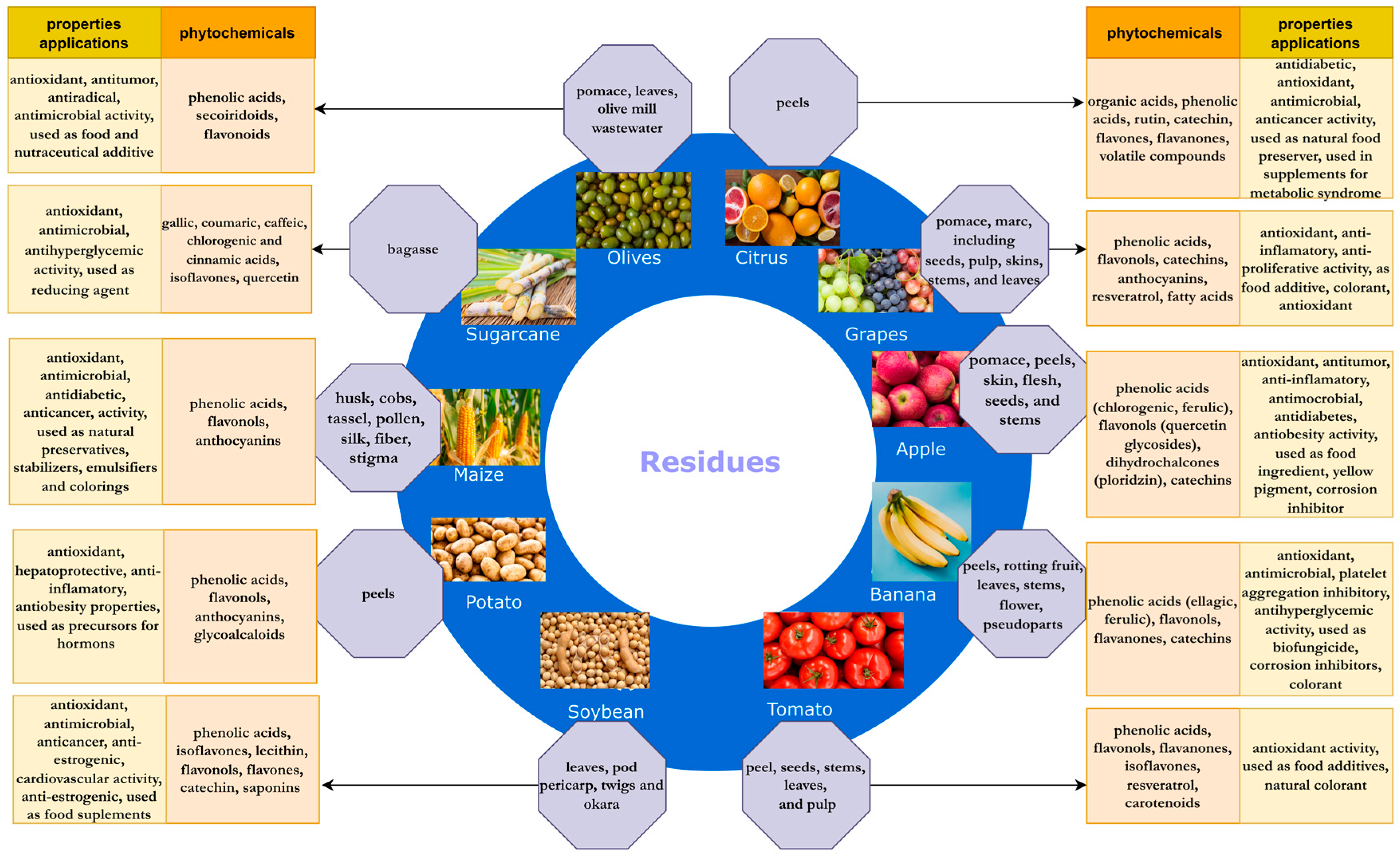 Molecules 28 00342 g001