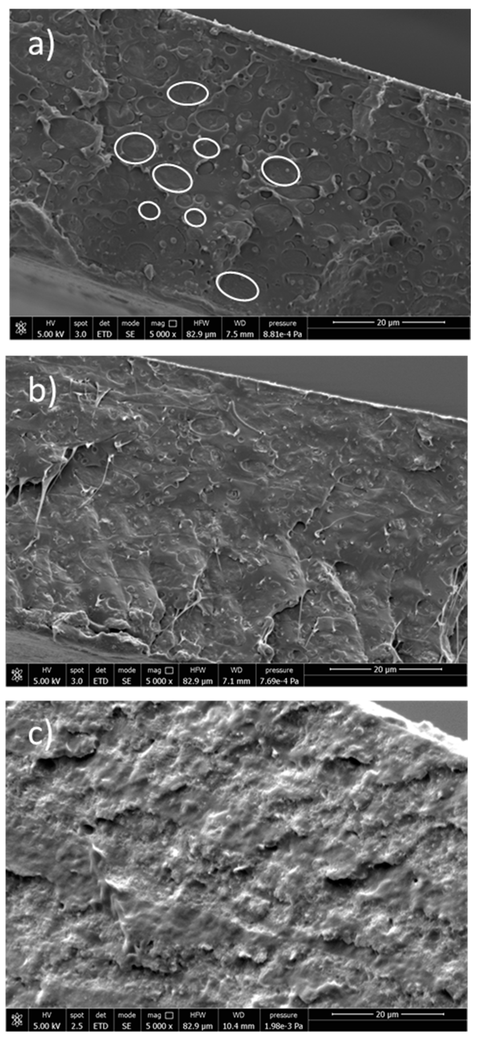 Molecules 28 00347 g007