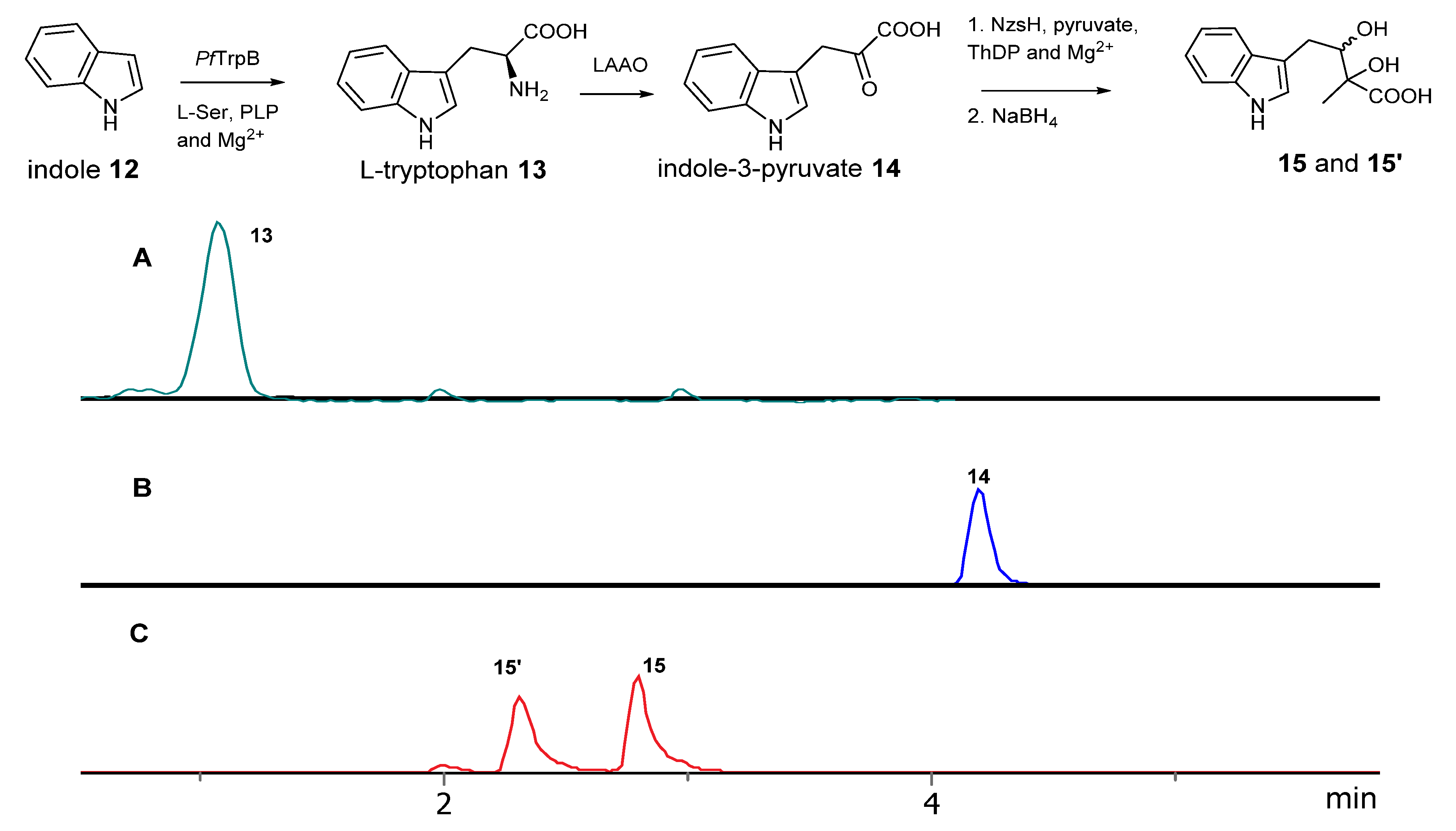 Molecules 28 00354 g002